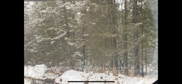 12 Edgar/Station Road Street