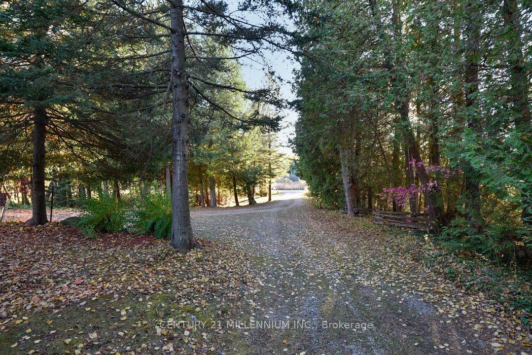 18599 Horseshoe Hill Road