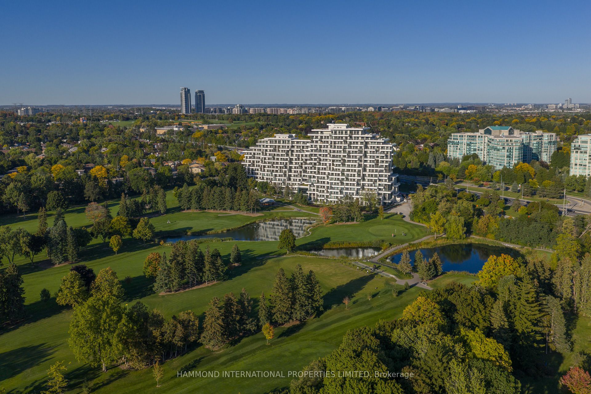 397 Royal Orchard Boulevard 706