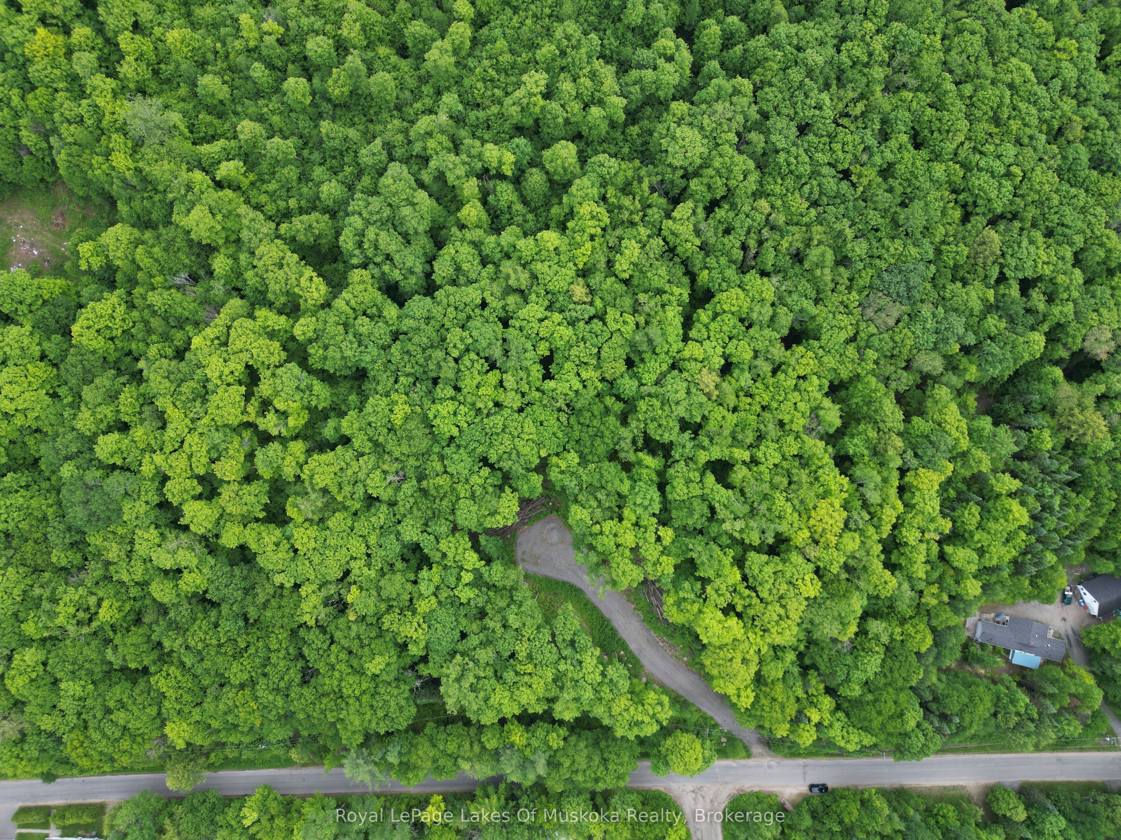 LOT 29 Bay Lake Road