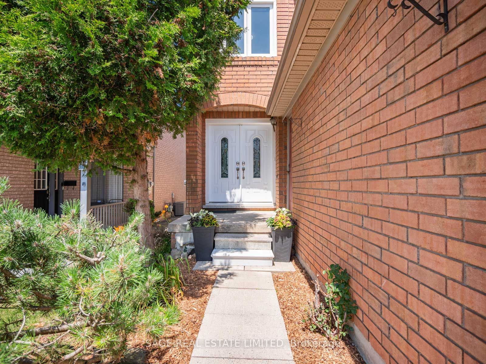 7093 BLACK WALNUT Trail