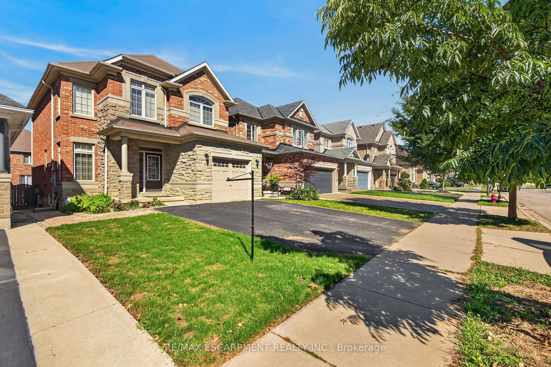 44 Matteo Trail
