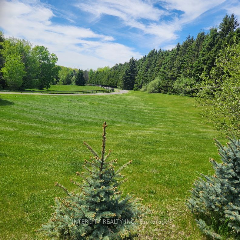 15600 7th Concession Road