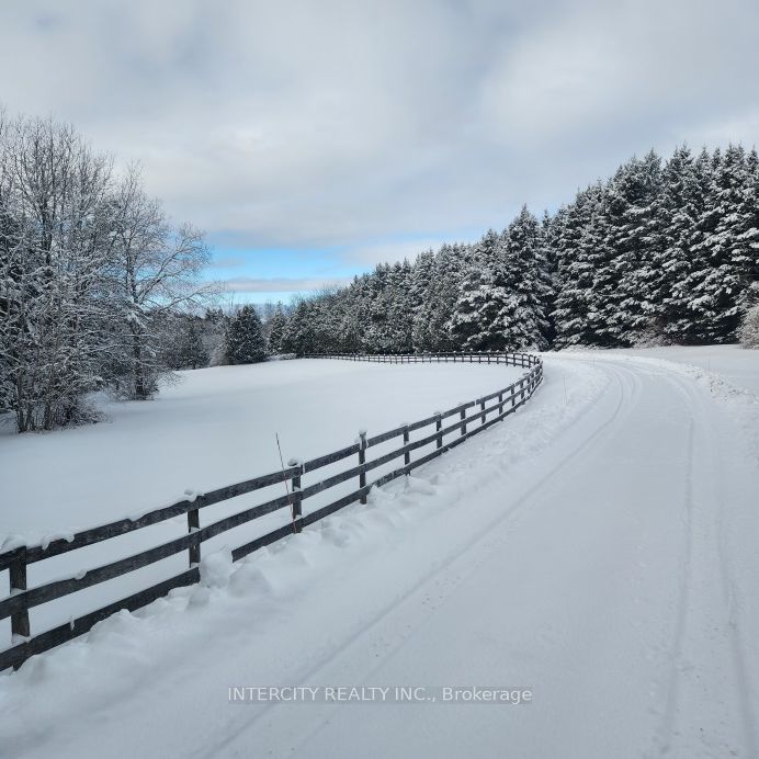 15600 7th Concession Road