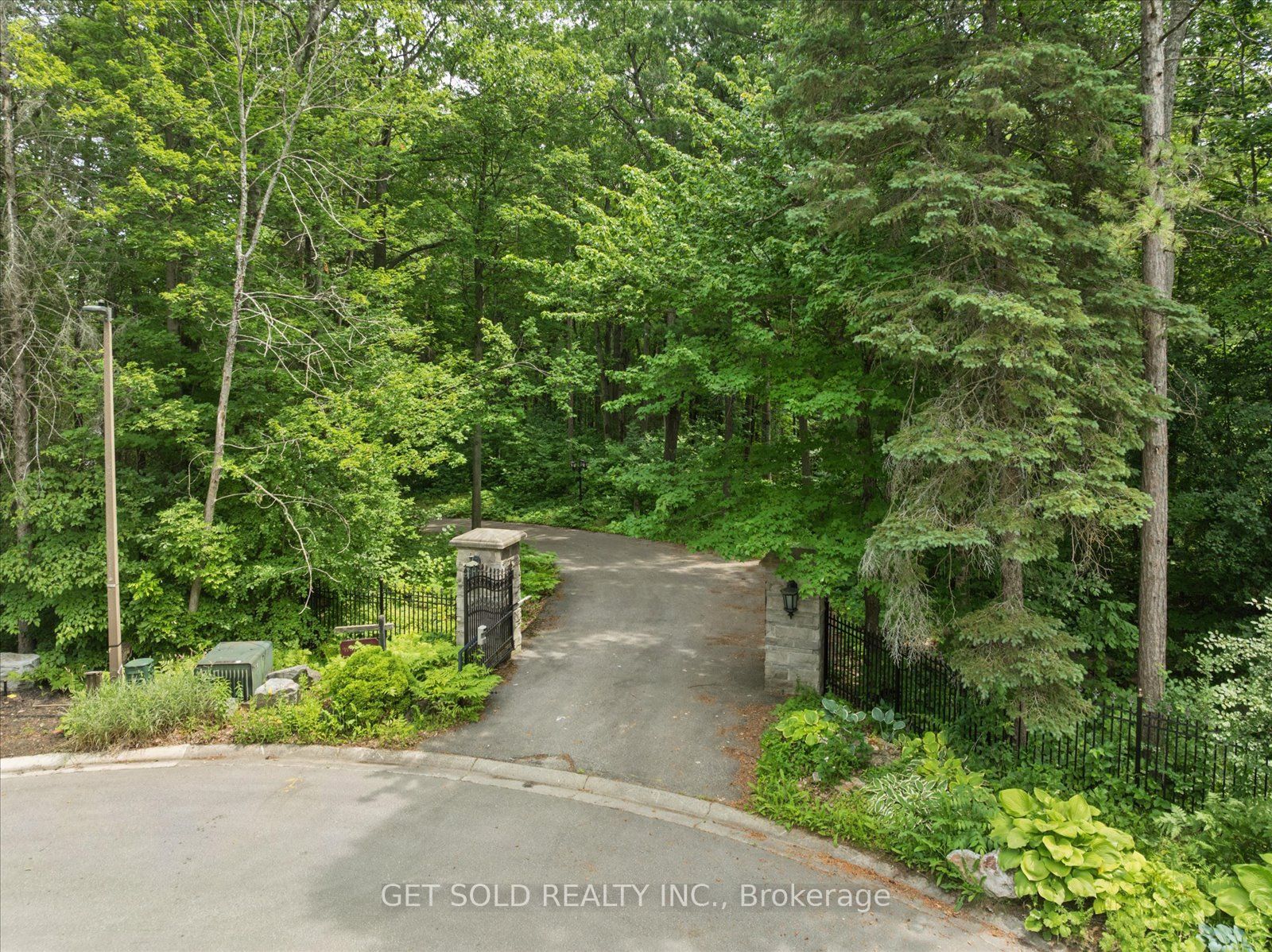 80 White Pine Trail