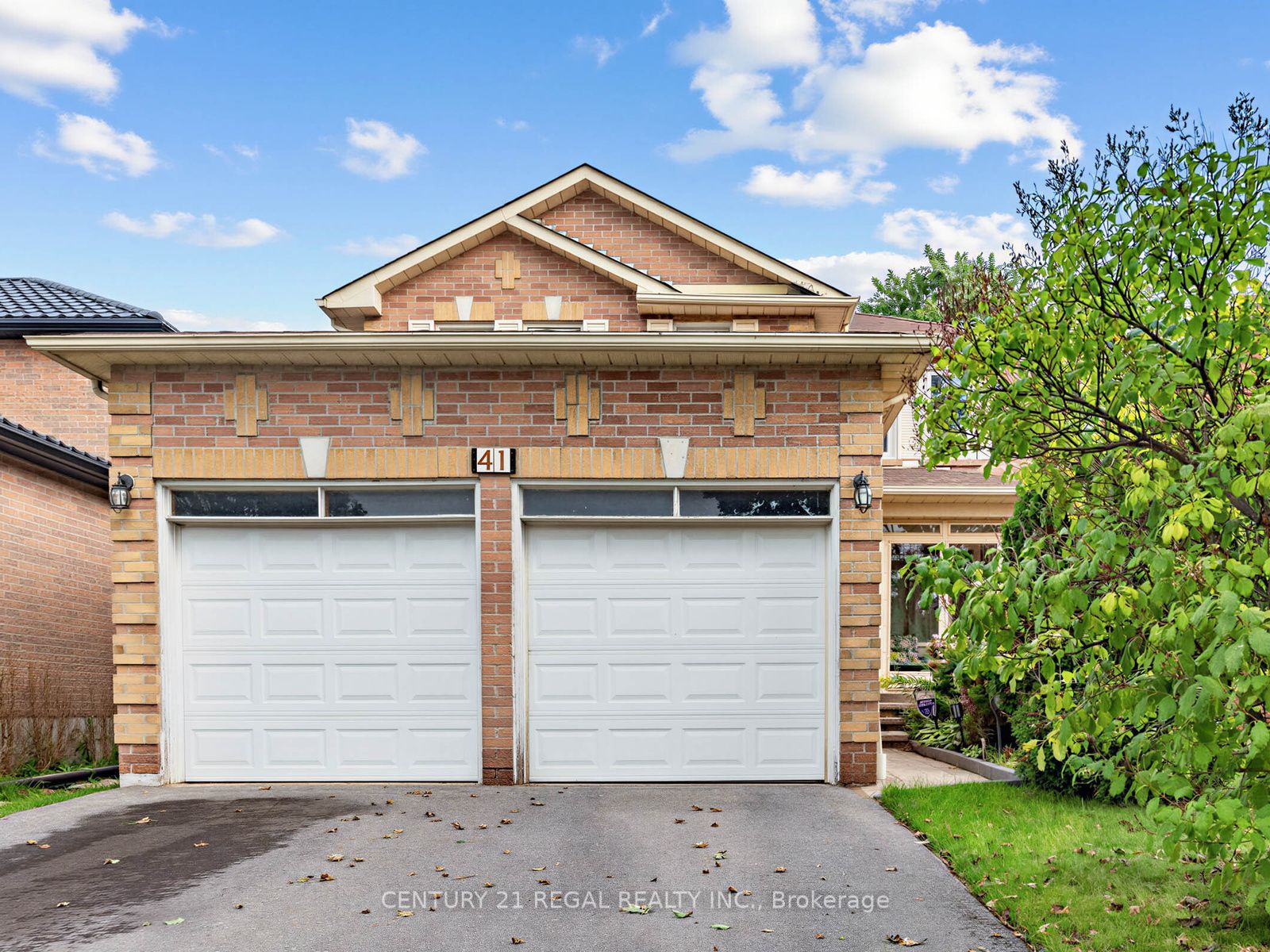 41 Coe Drive