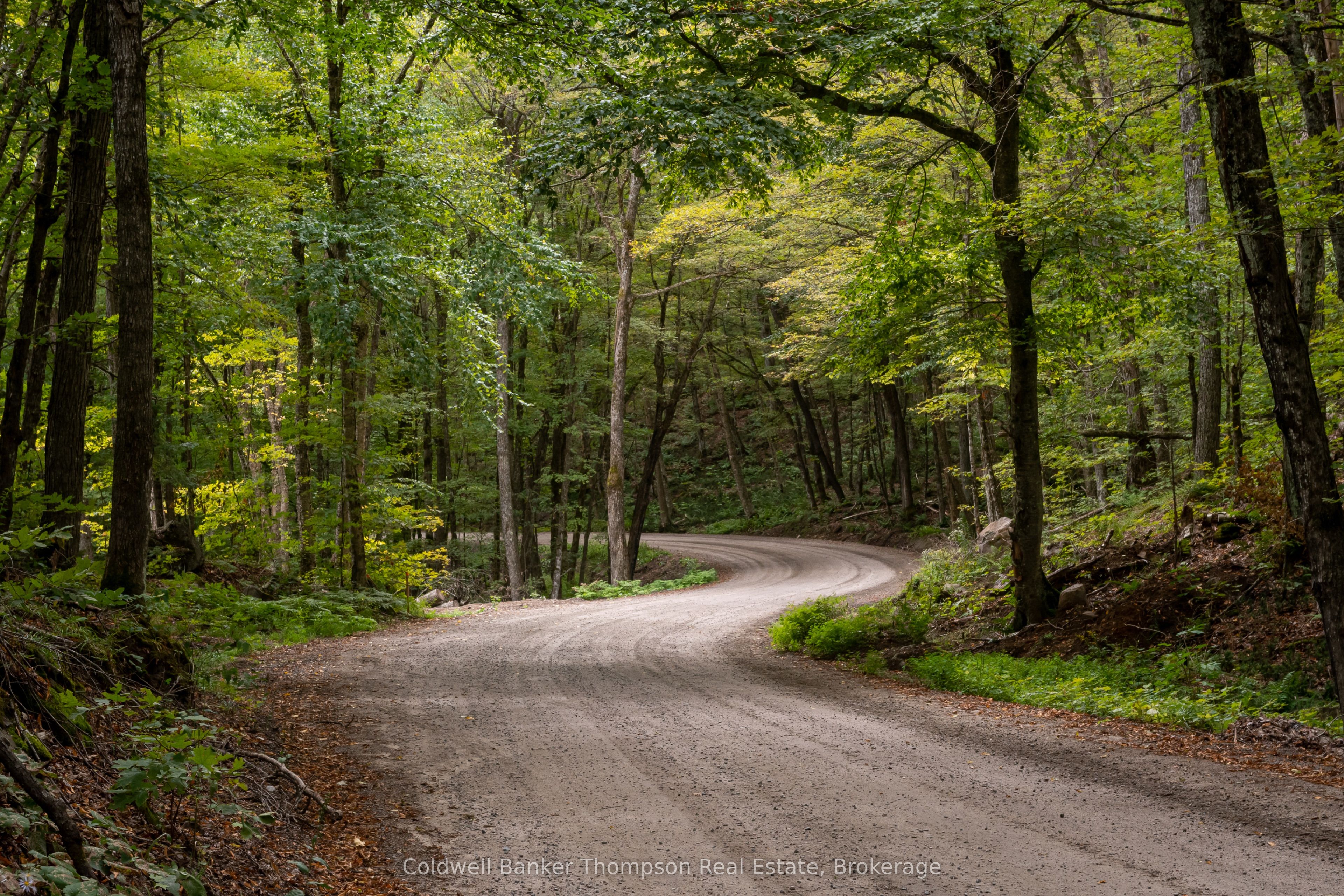 Lot 4 Emsdale Lake Road
