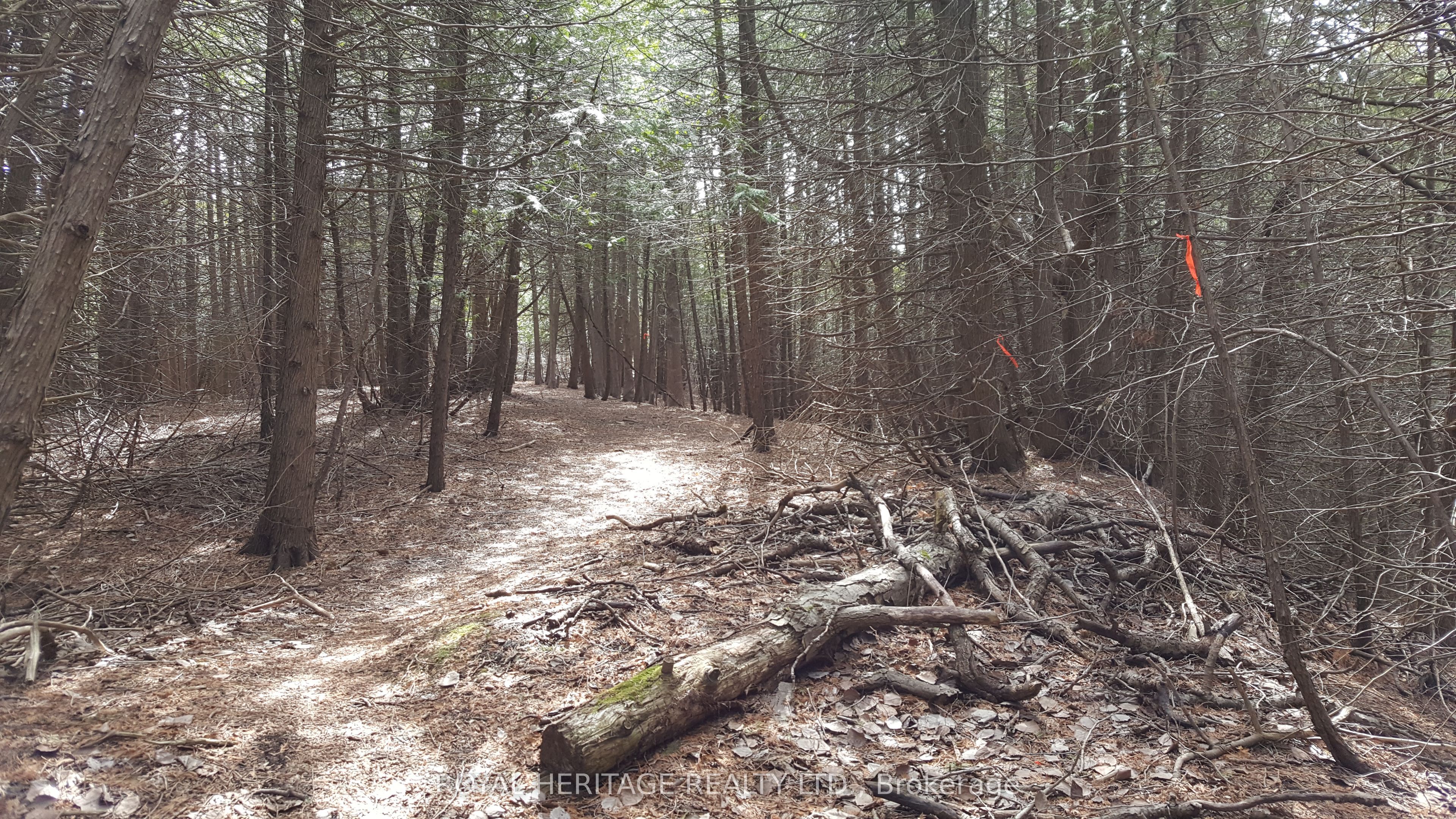 1855 Stevenson Road N