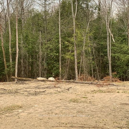 5 Mountain Basin Drive