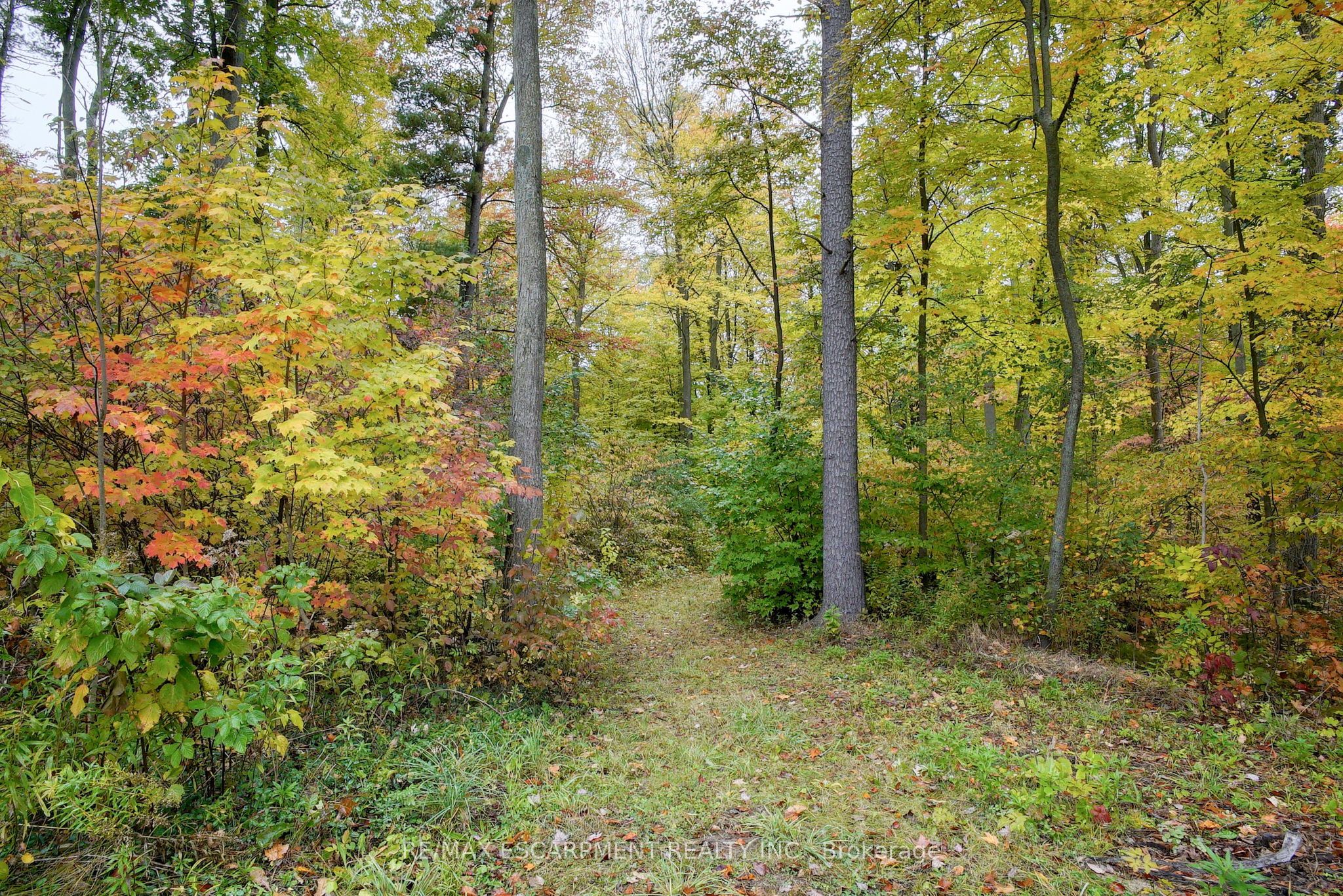 1392 Wrigley Road