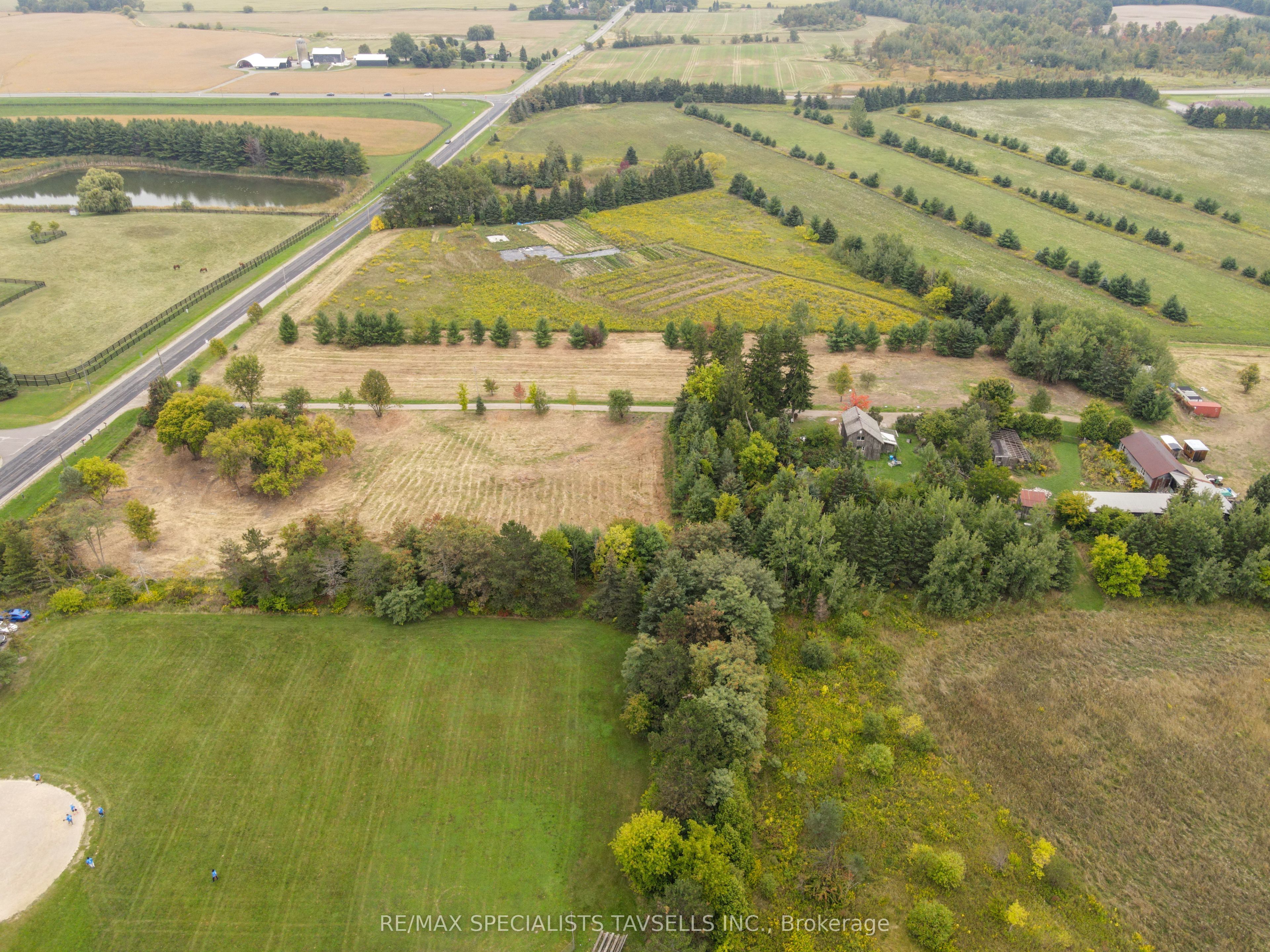 14130 Creditview Road