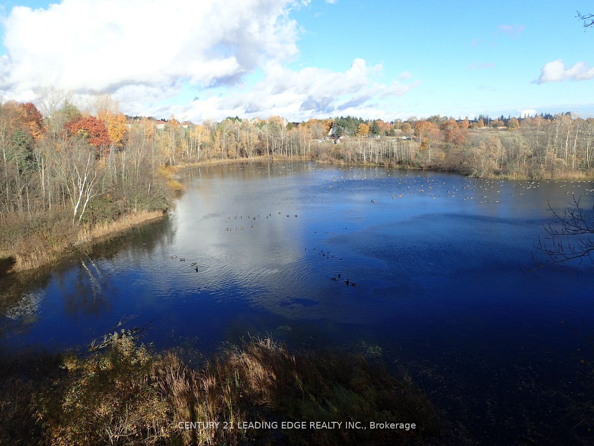 3536 Bloomington Road