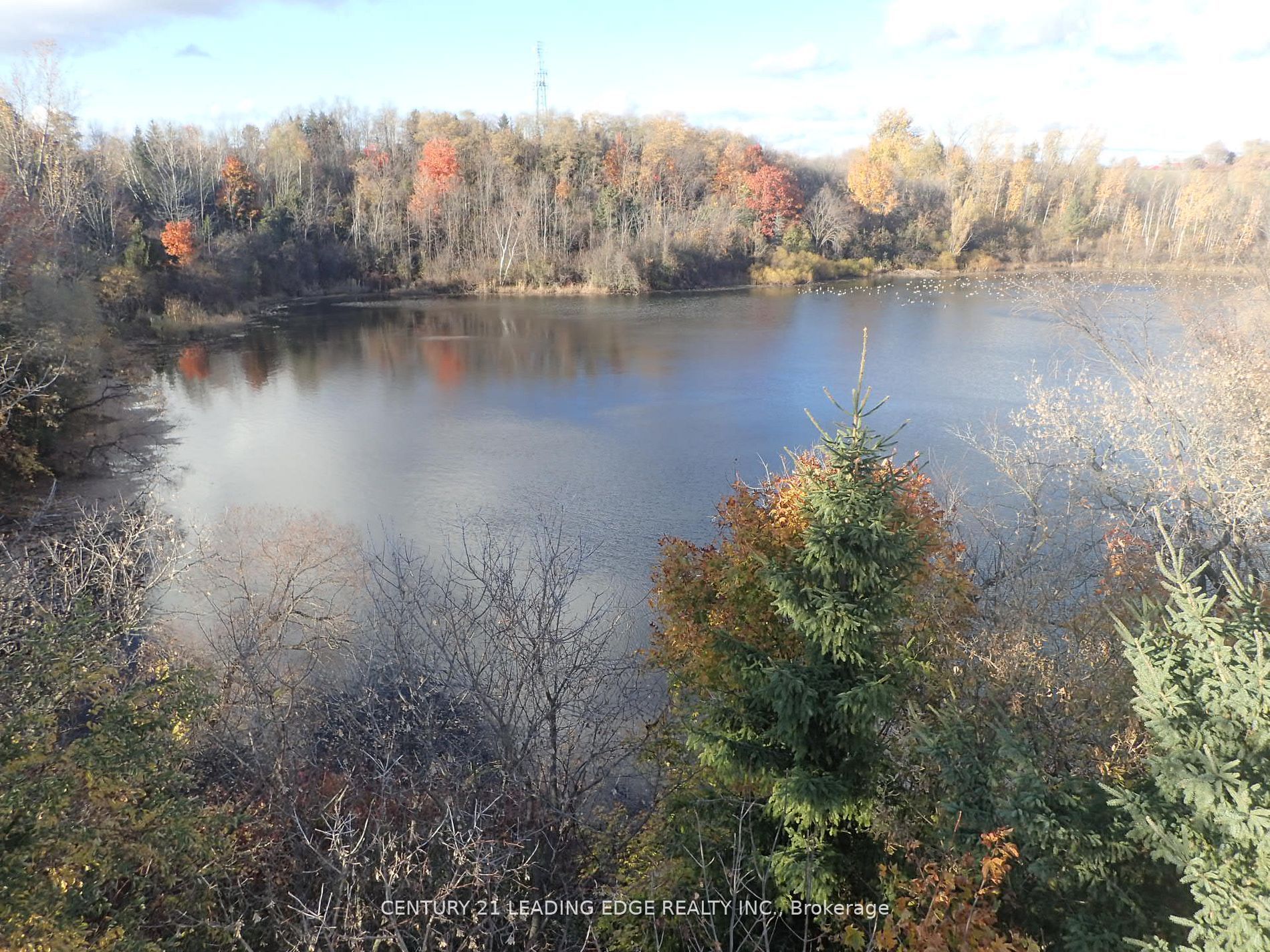 3536 Bloomington Road