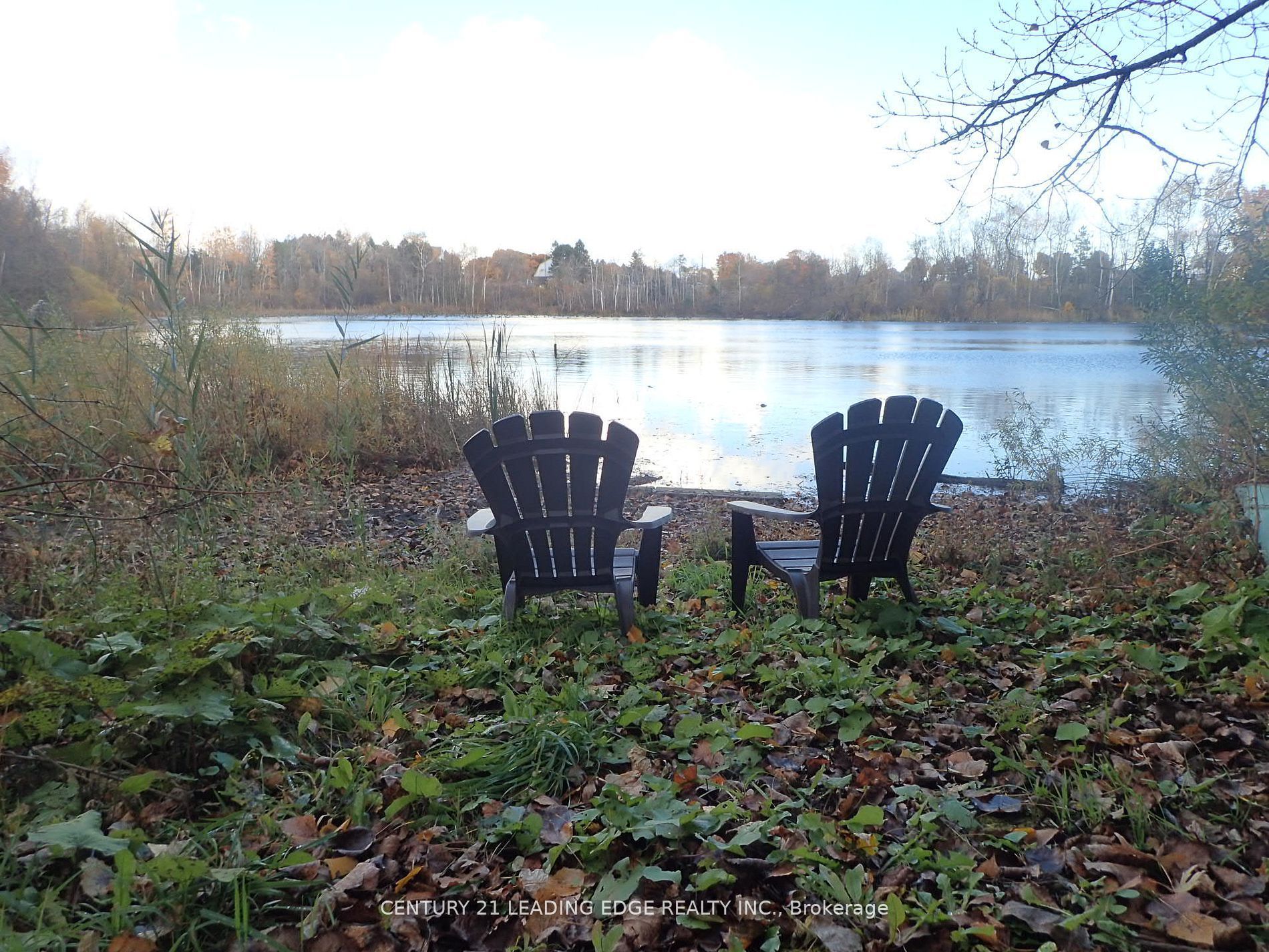 3536 Bloomington Road