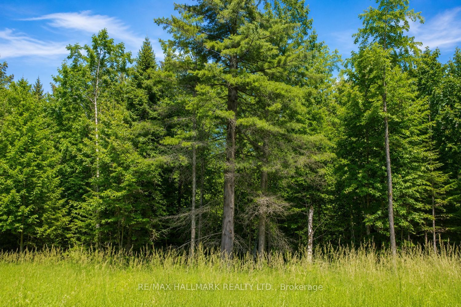 21576 Mccowan Road
