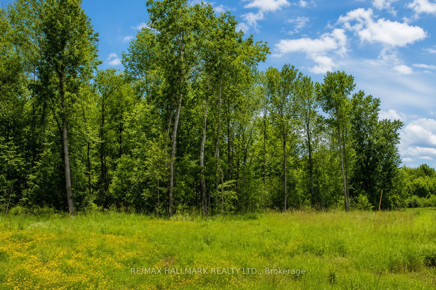 21576 Mccowan Road