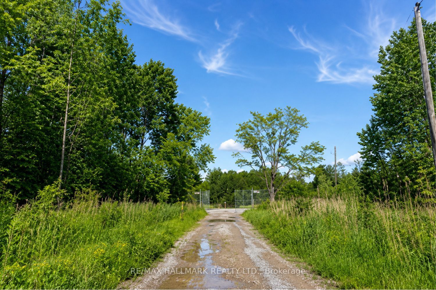21576 Mccowan Road