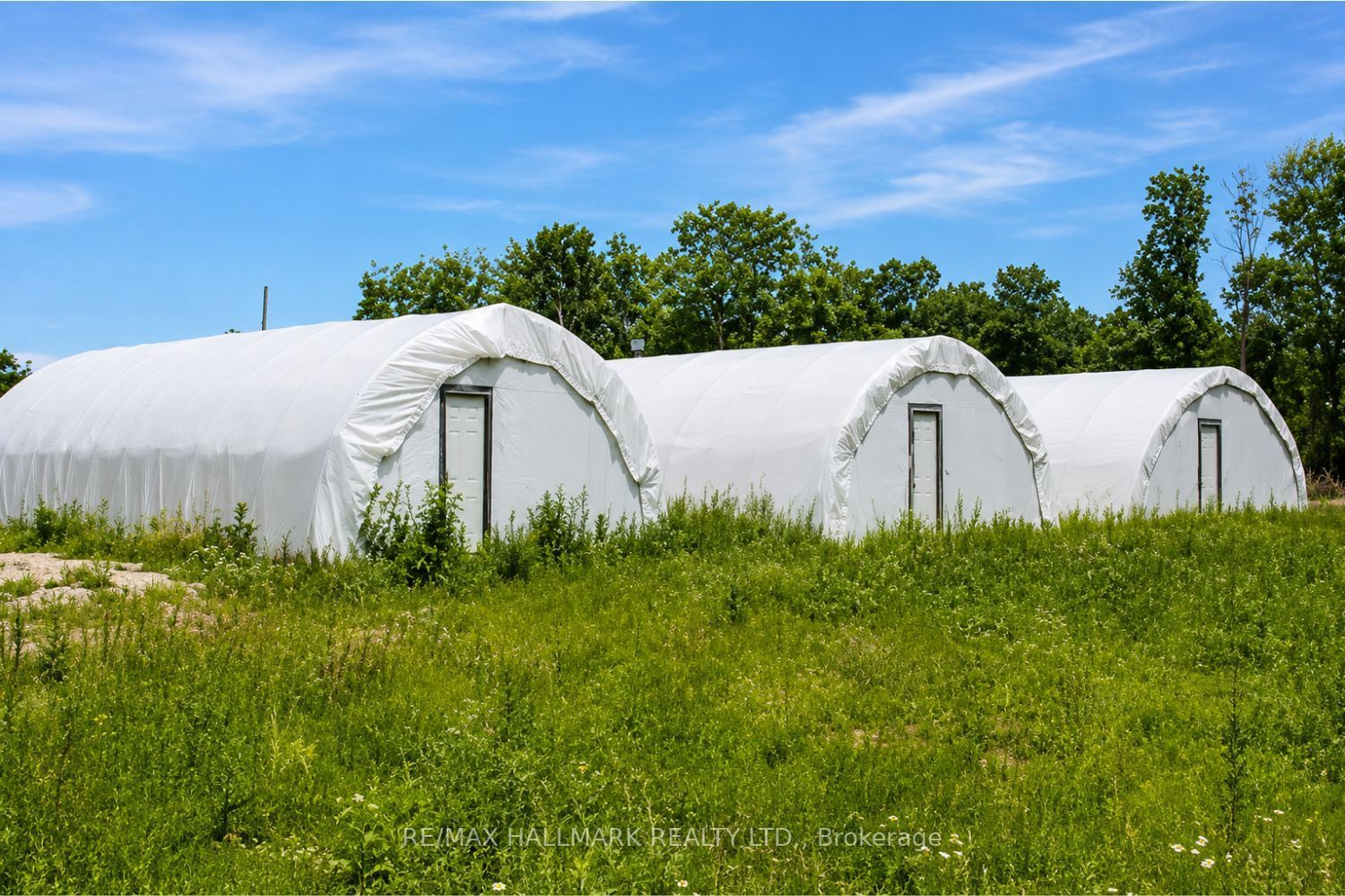 21576 Mccowan Road