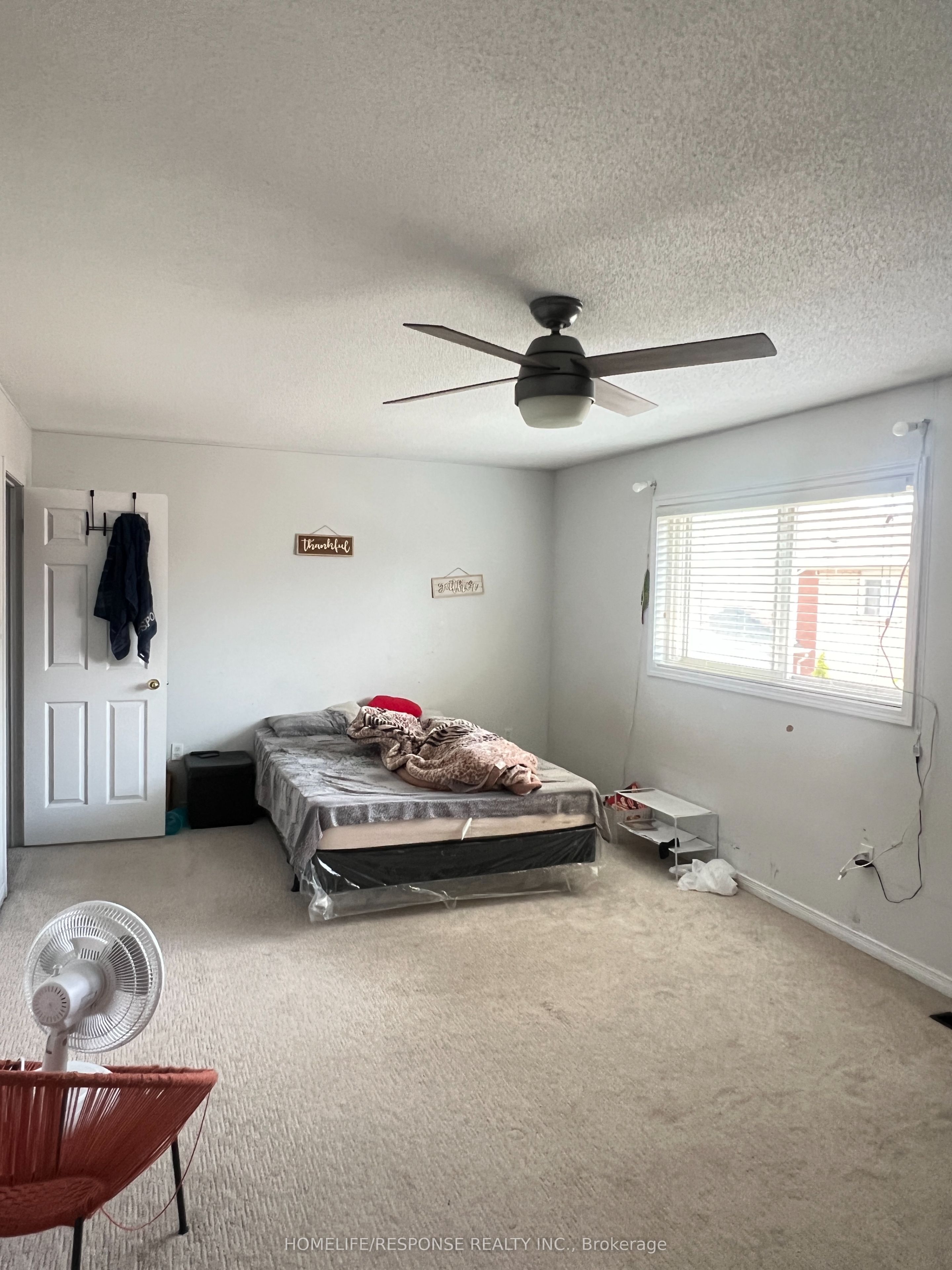 10 MILKWEED Crescent
