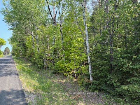 147 SO HO MISH Road Perry ON P0A 1L0