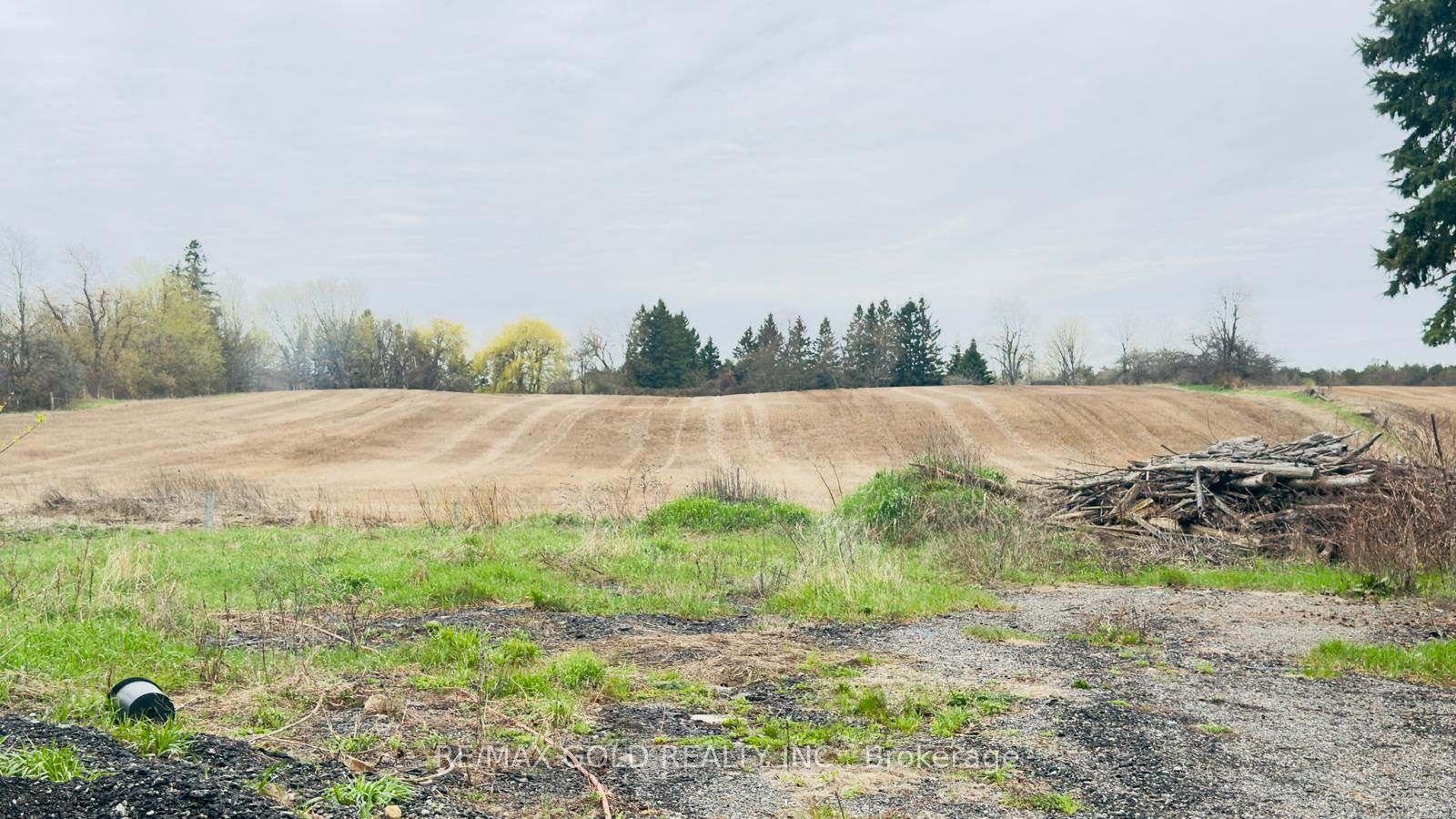 4476 Beech Grove Side Road