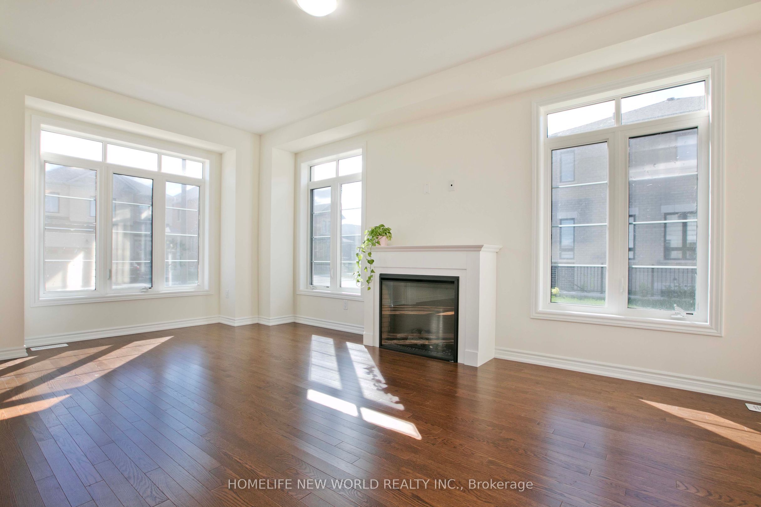 1864 Irish Moss Square