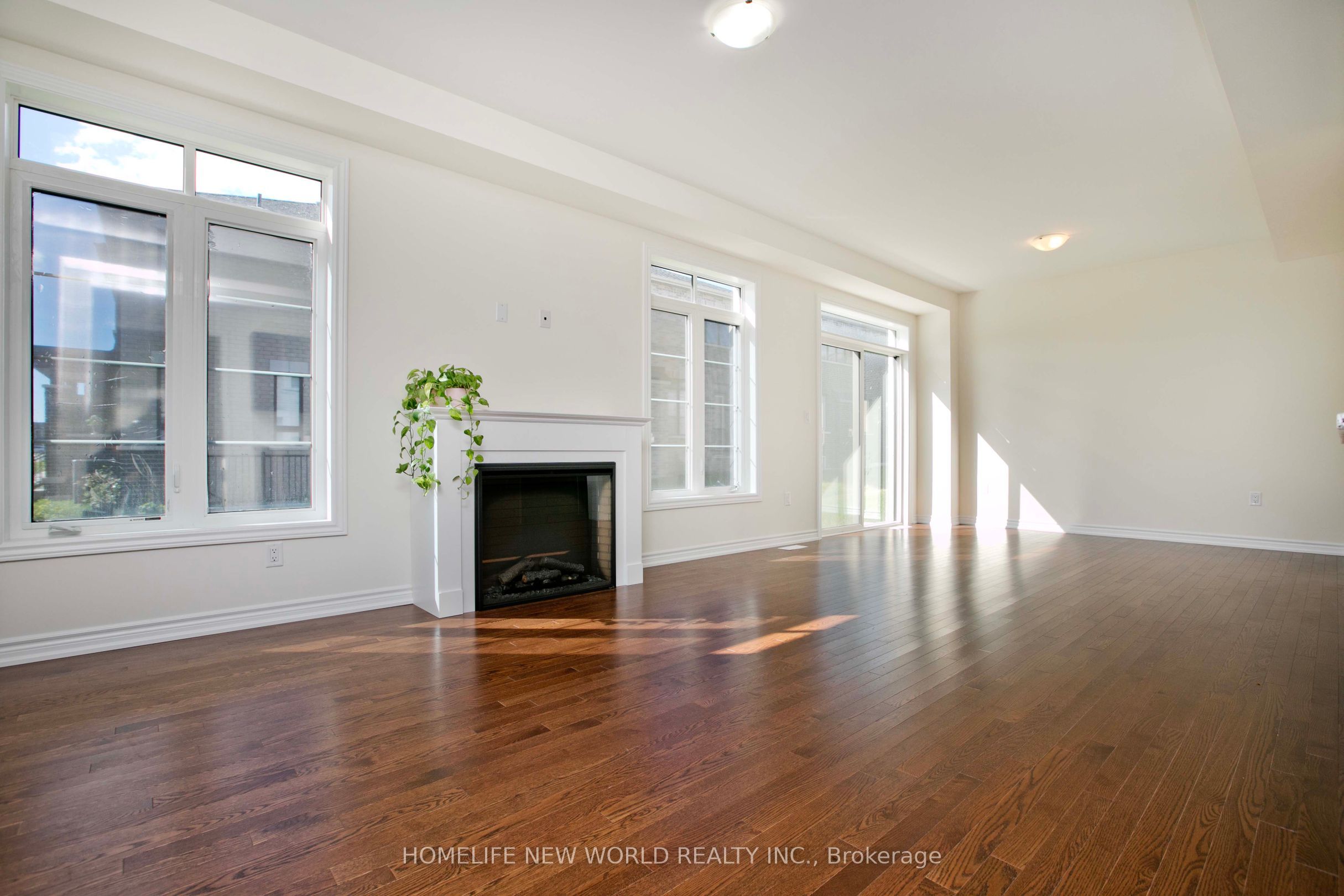 1864 Irish Moss Square