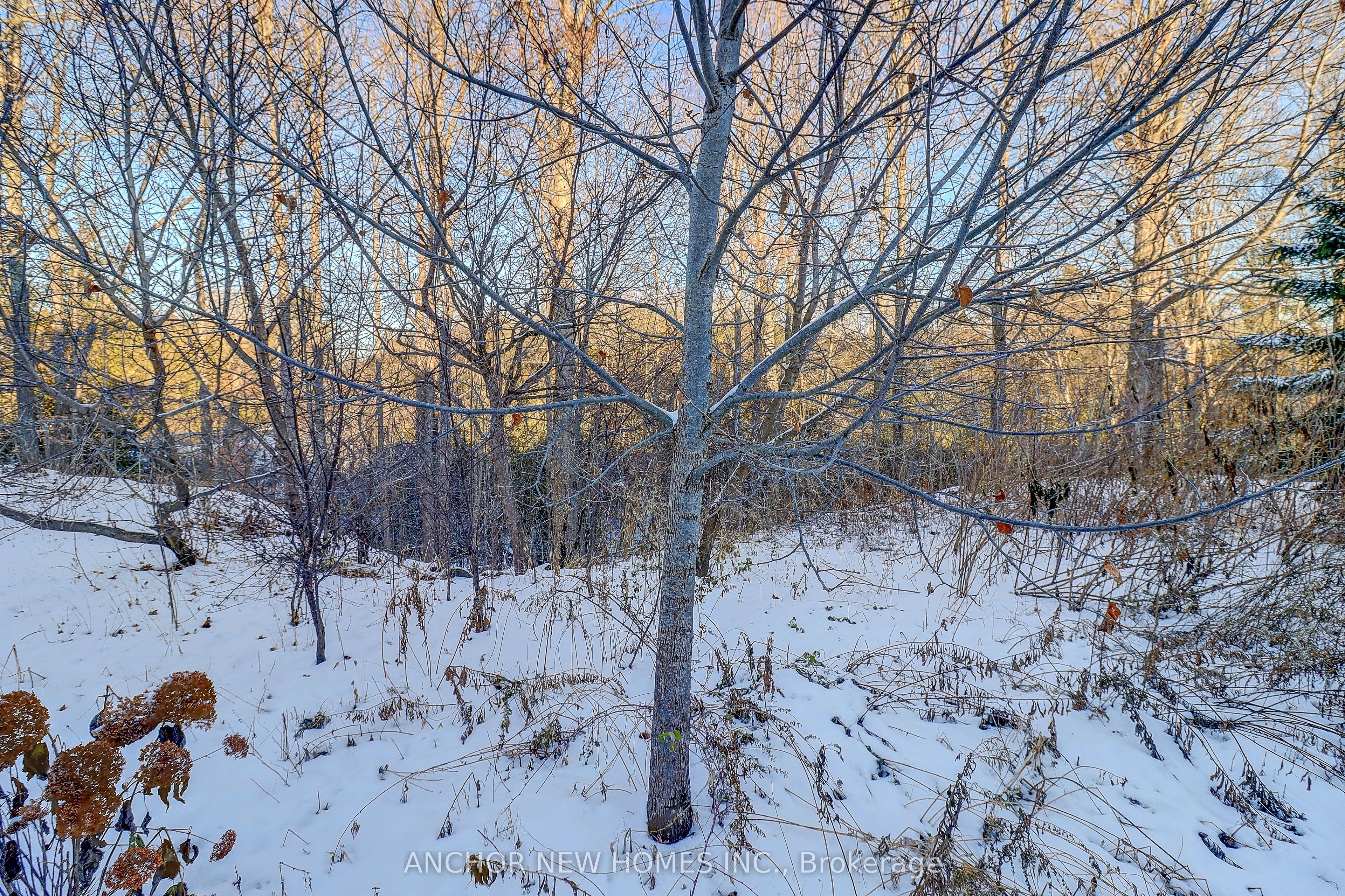 2481 Earl Grey Avenue