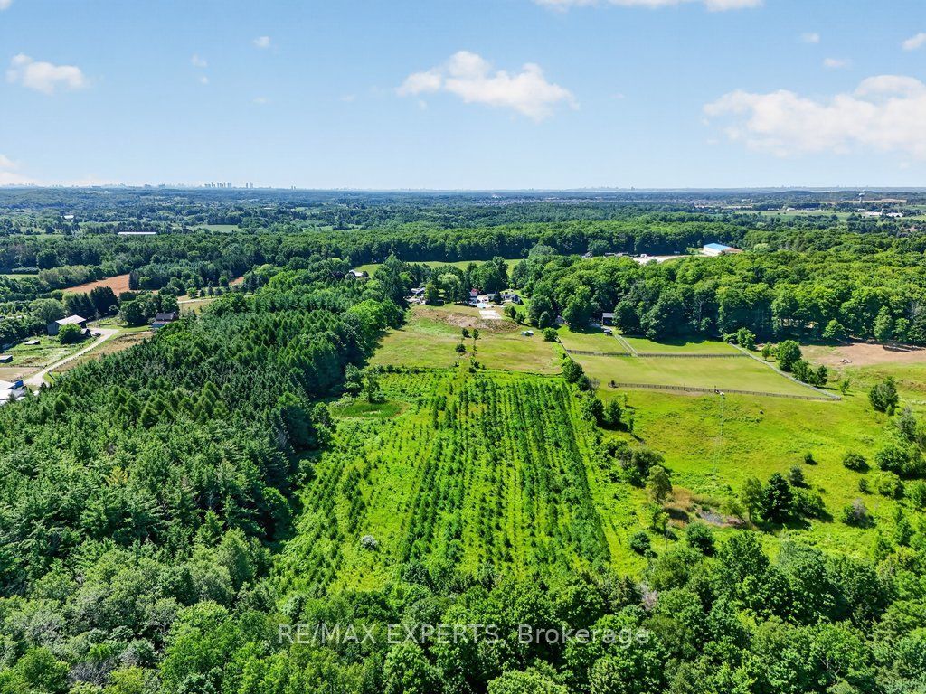 5502 16th Side Road
