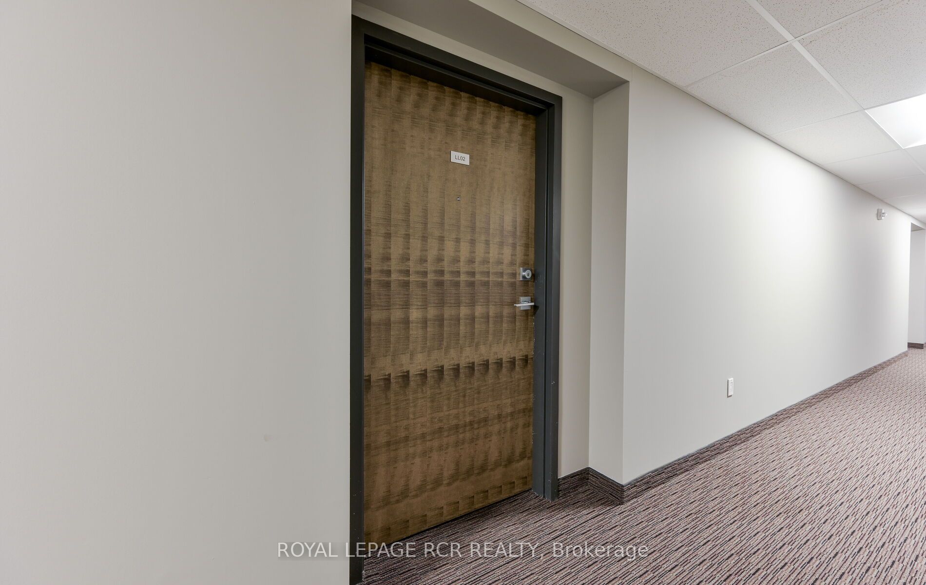 25 Kay Crescent LL02