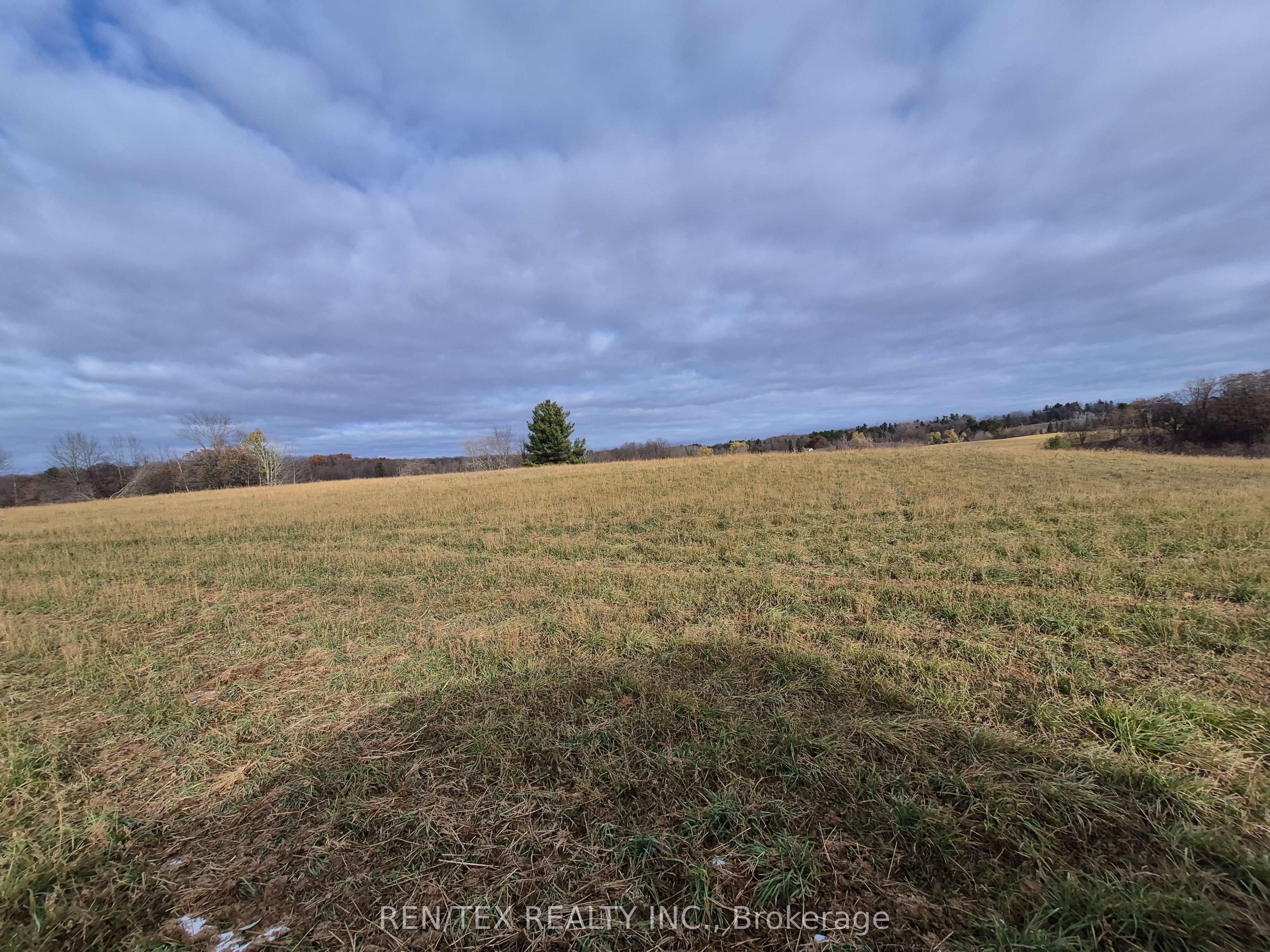 14140 8th Concession Road