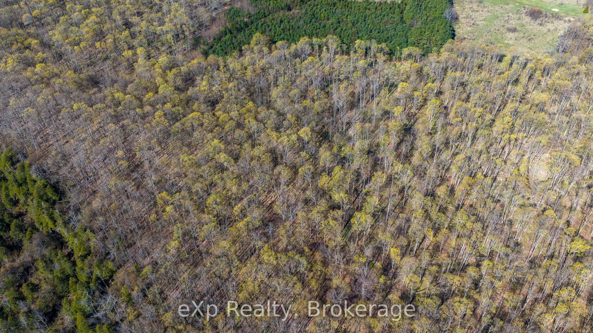 PT LT 14 2nd Concession Road N