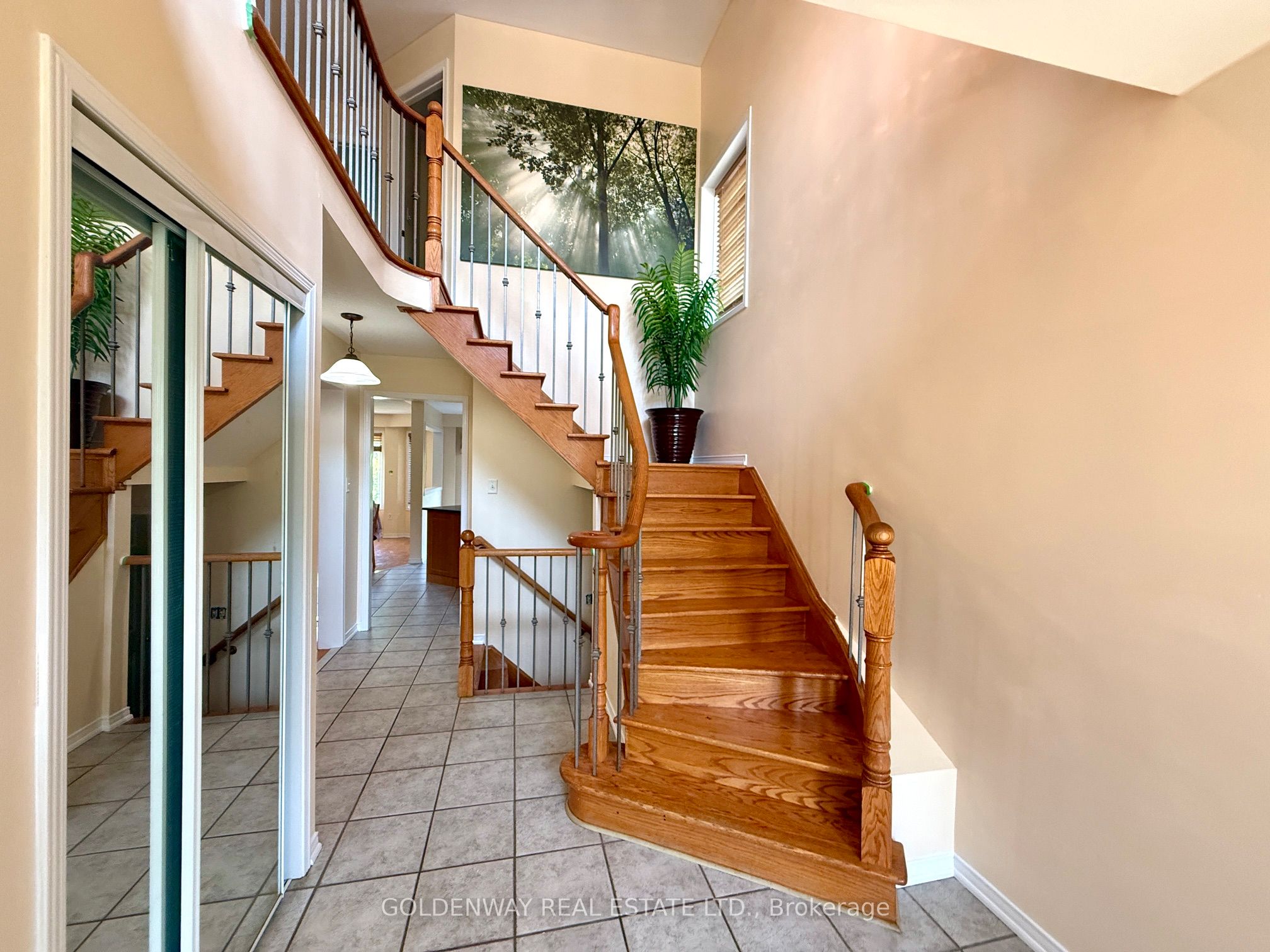 20 Green Ash Terrace