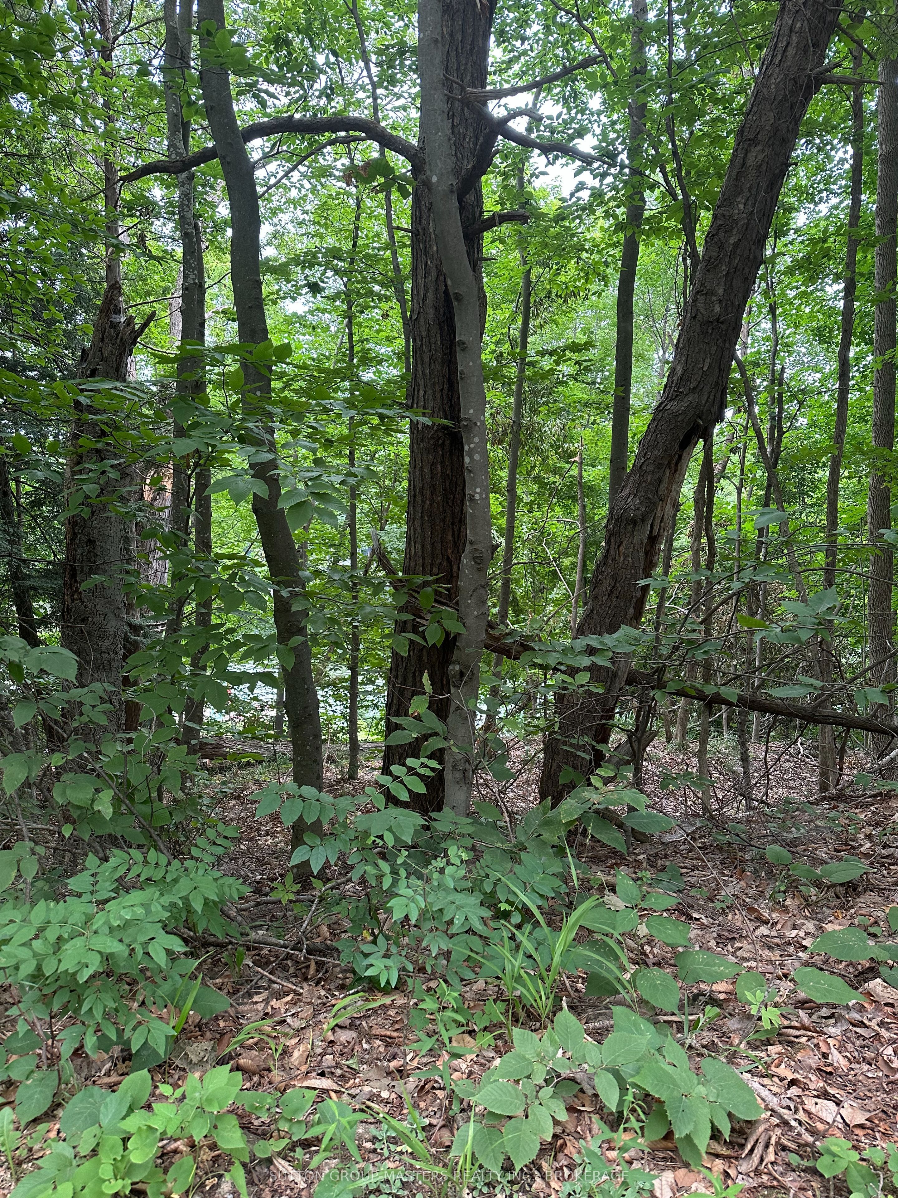 0 SILVER ROCK Lane