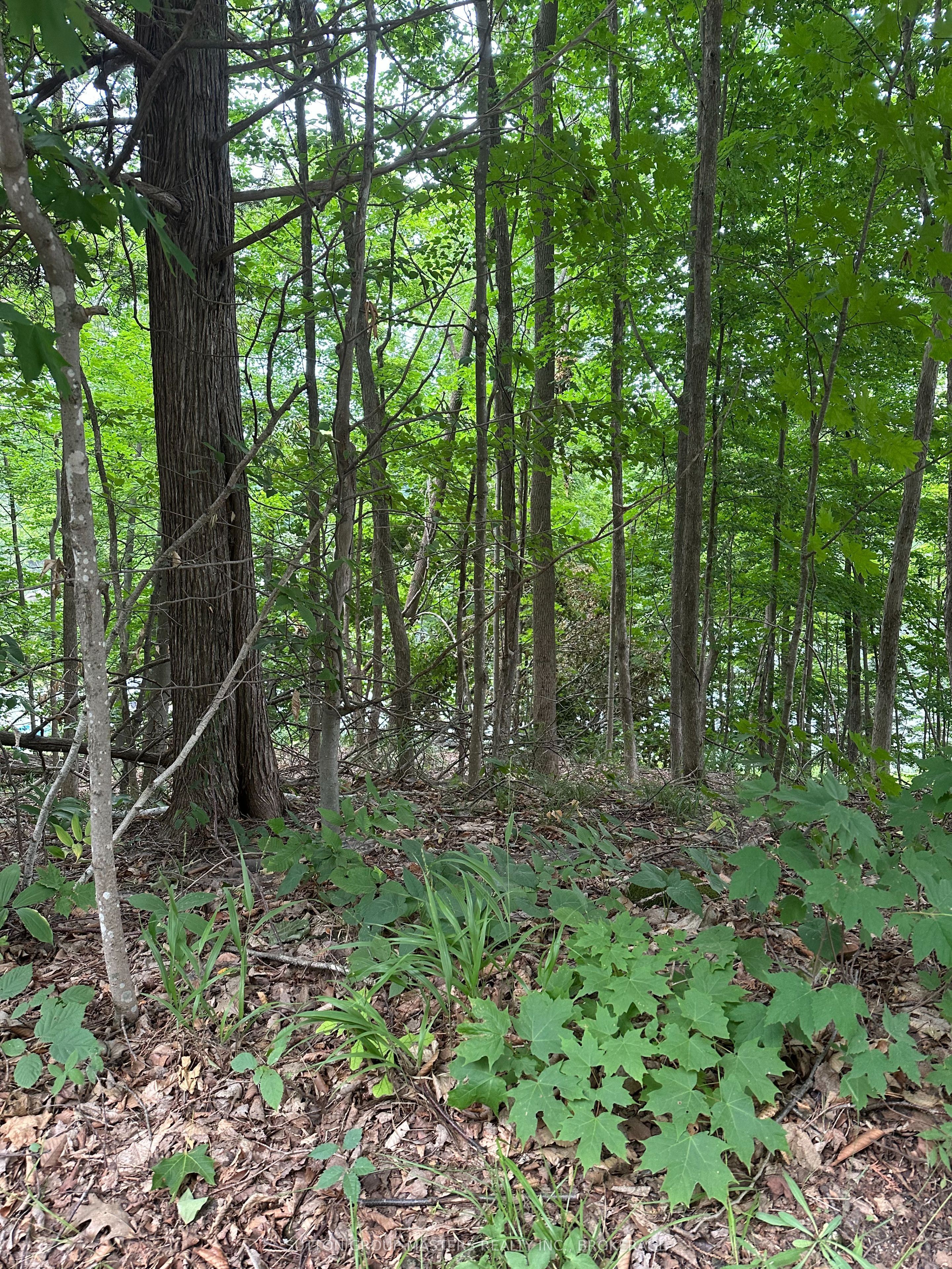 0 SILVER ROCK Lane