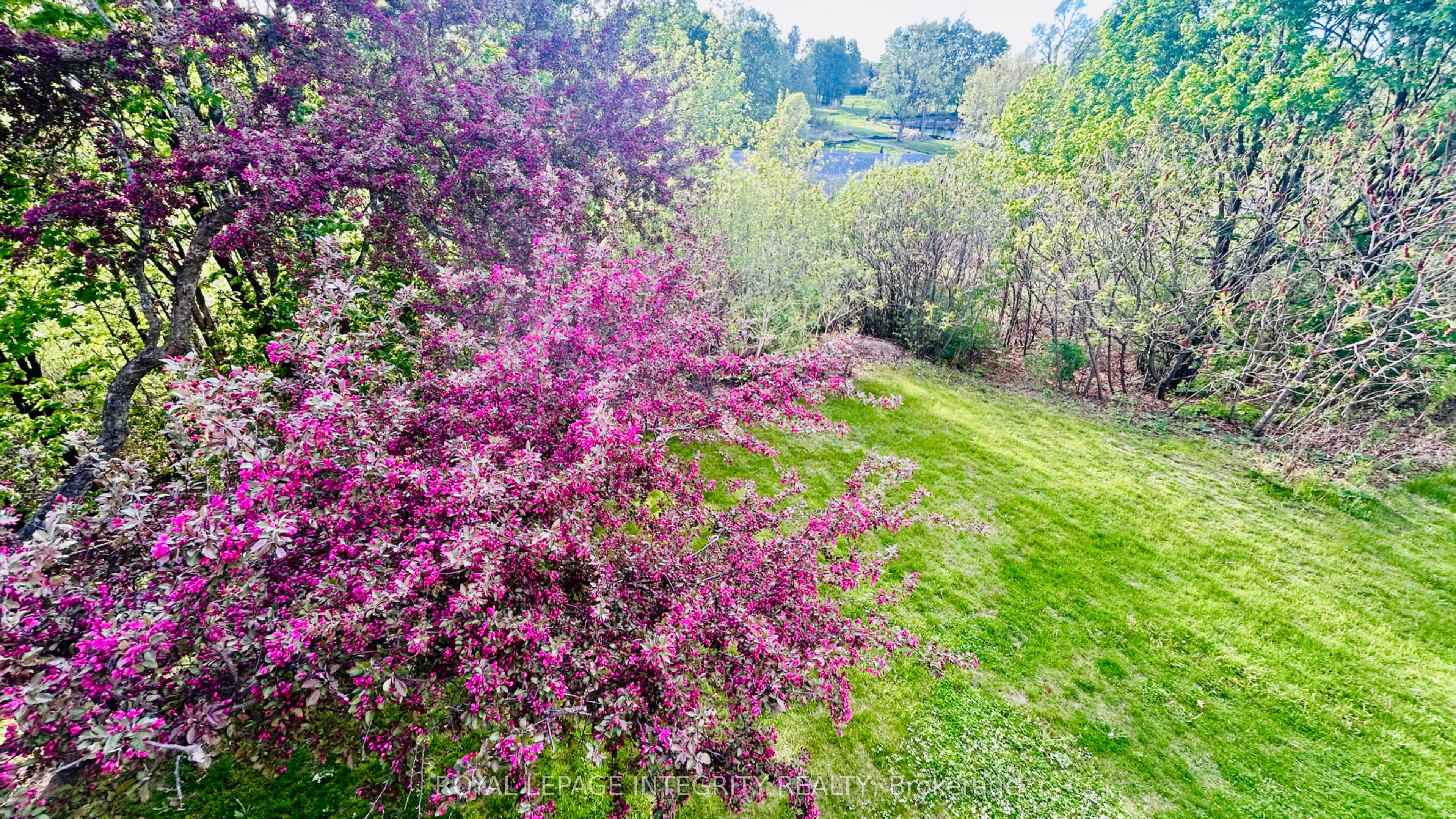 50 Rosenfeld Crescent