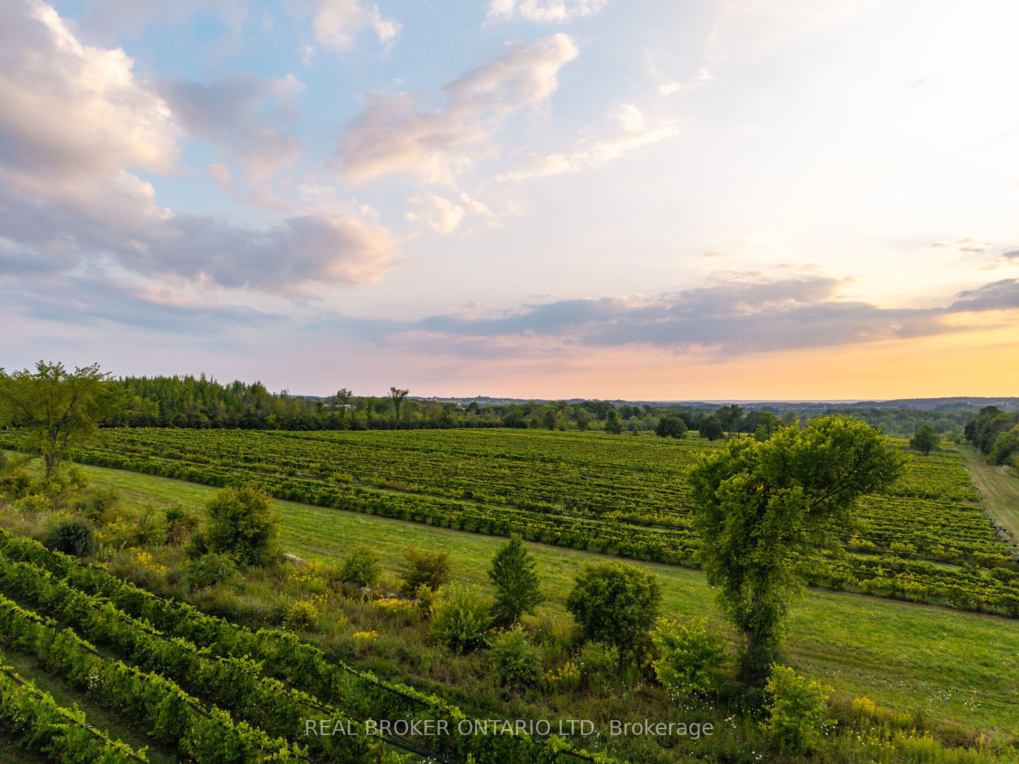 599450 2nd Concession N/A N