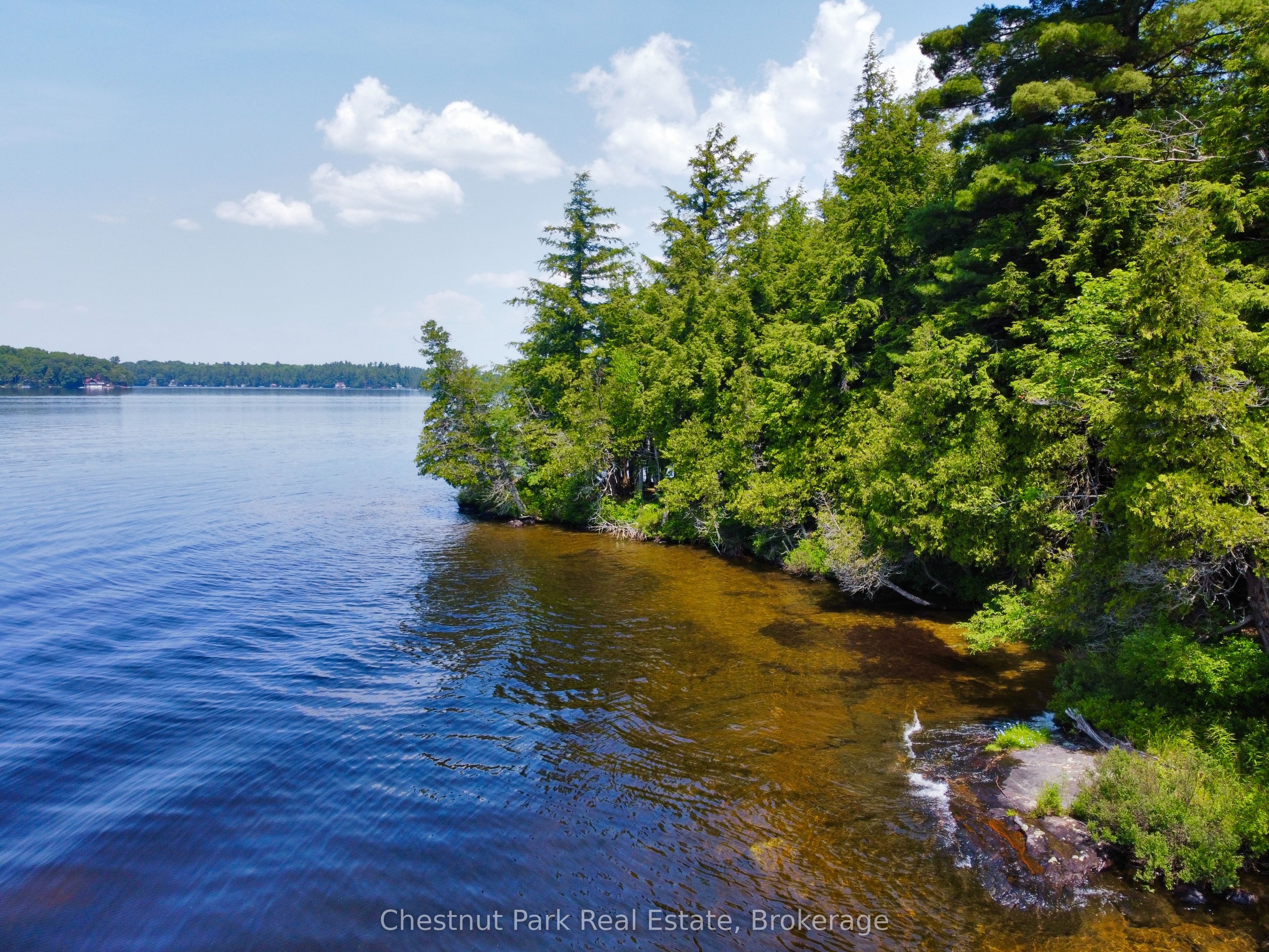 1 Cedar Island N/A