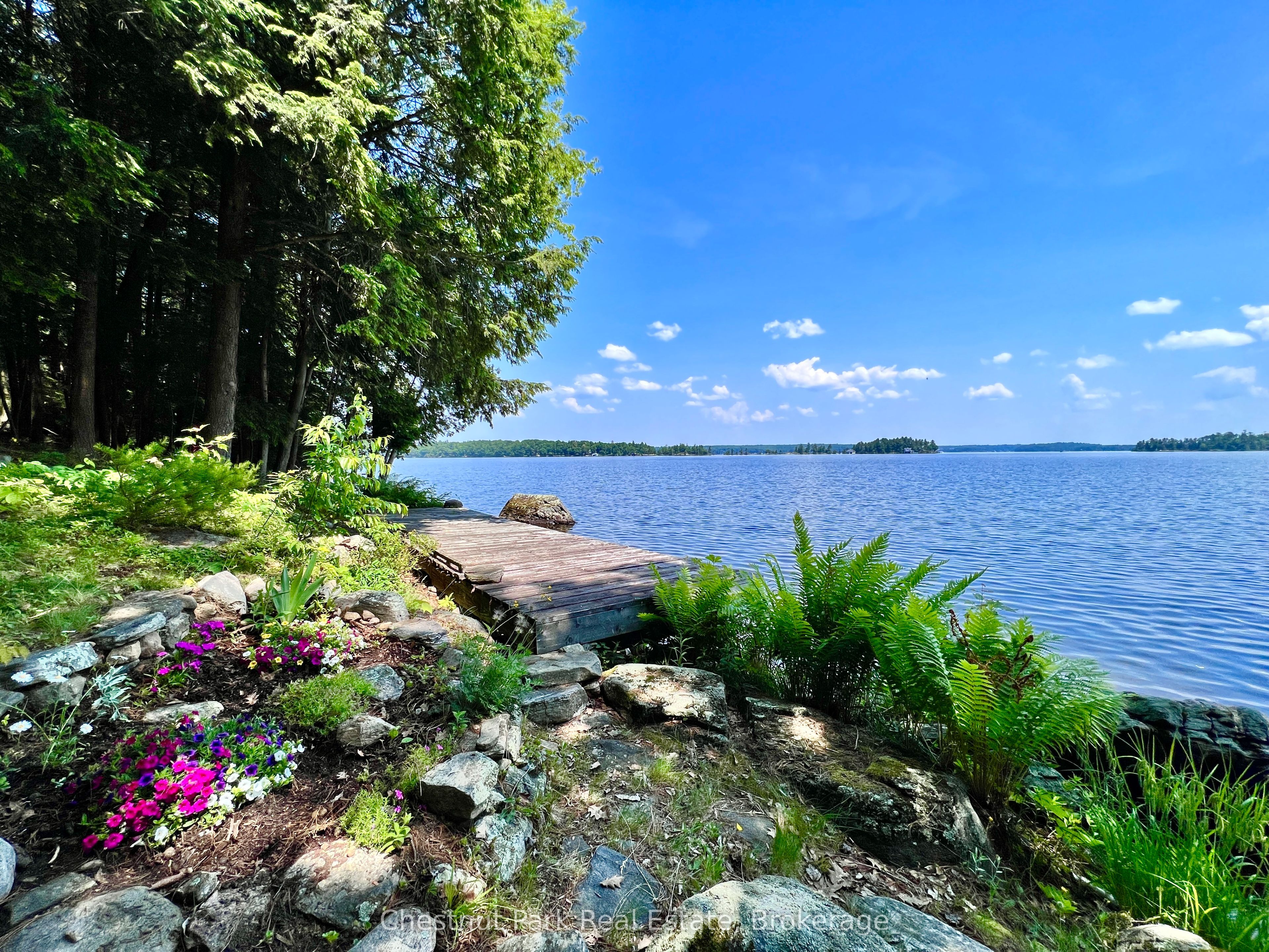1 Cedar Island N/A