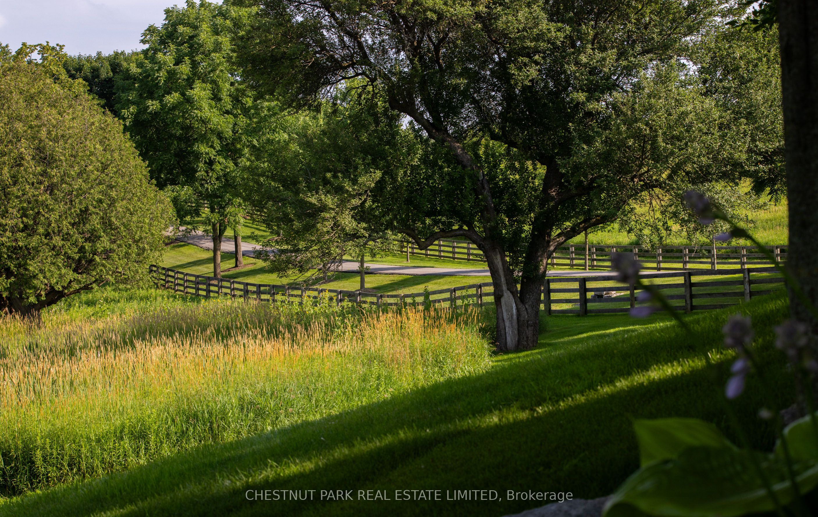 908 Vandorf Side Road