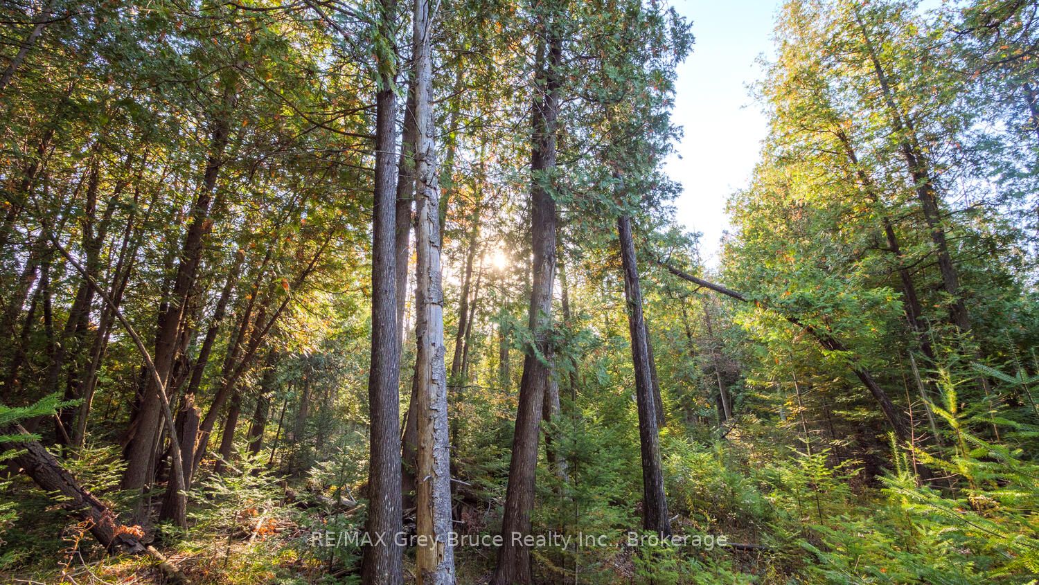 part lot 37 con D Sauble Falls Parkway