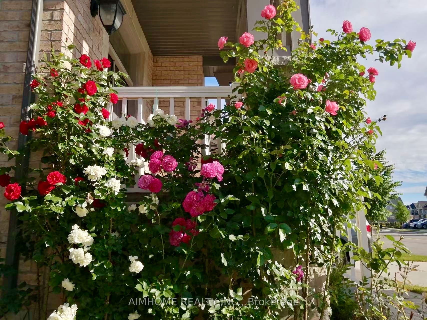 3154 Carding Mill Trail