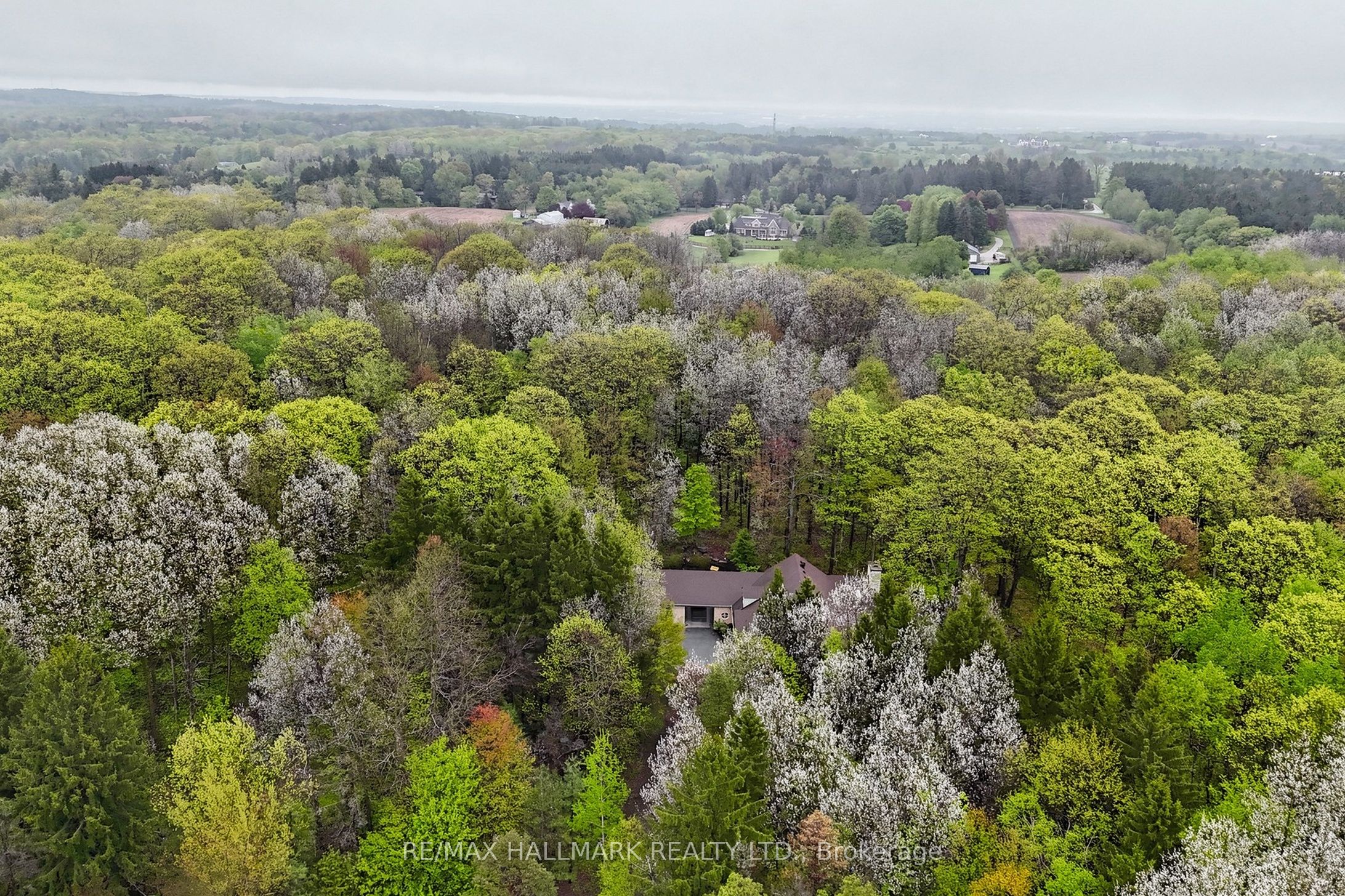 95 Fog Road
