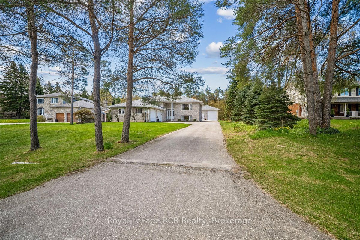 30 Pine Tree Drive
