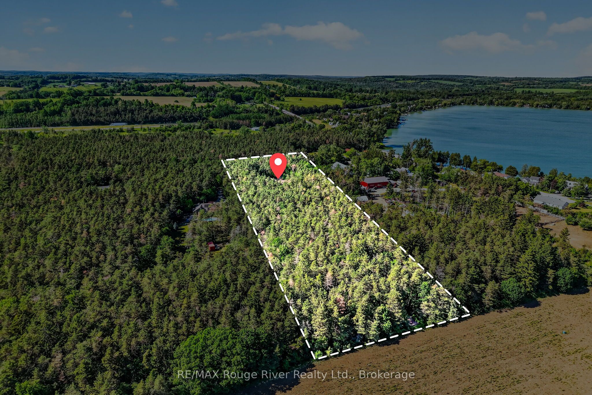 149 Pine Tree Lane