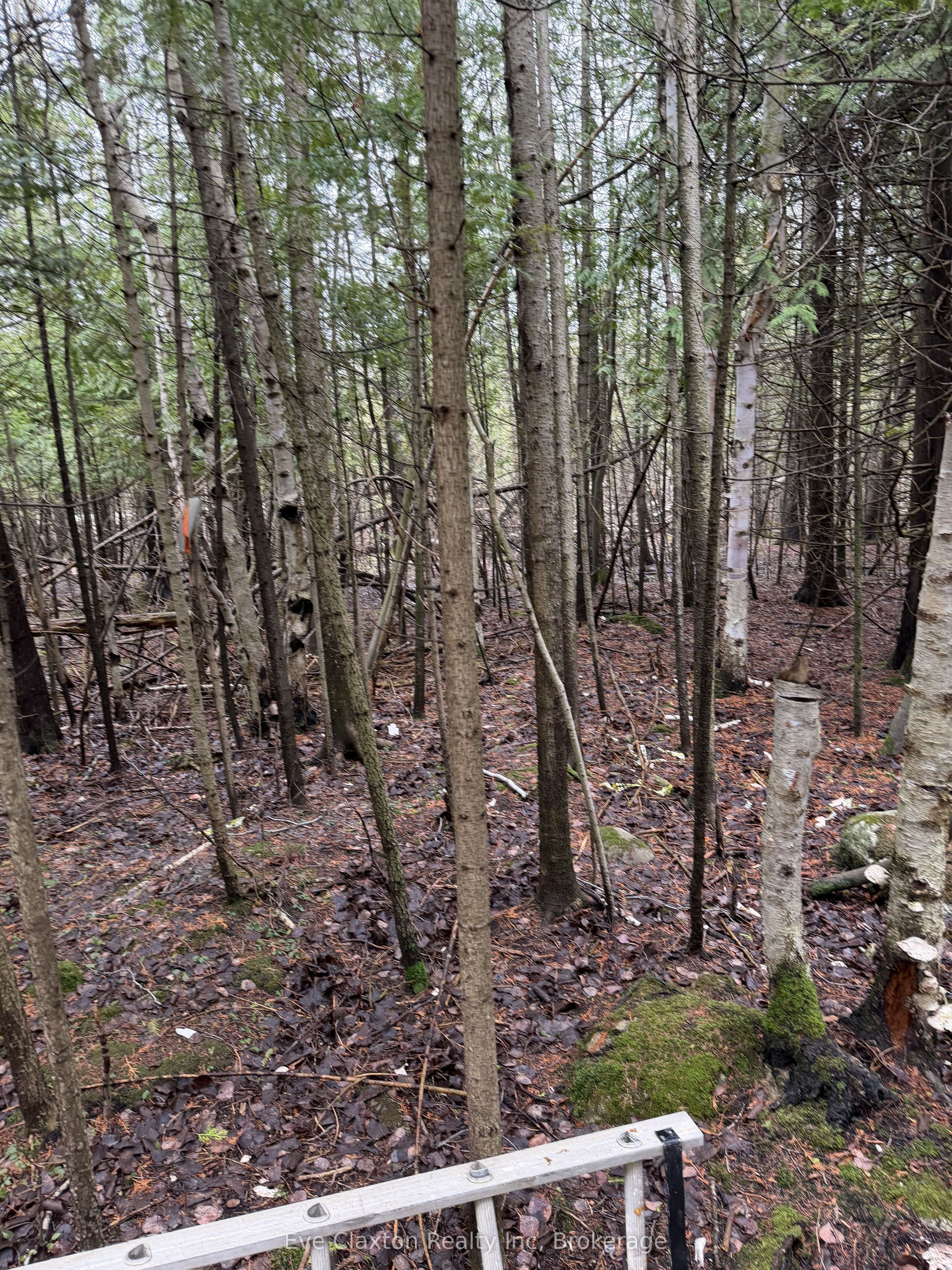 23 Park Lot Cameron Drive