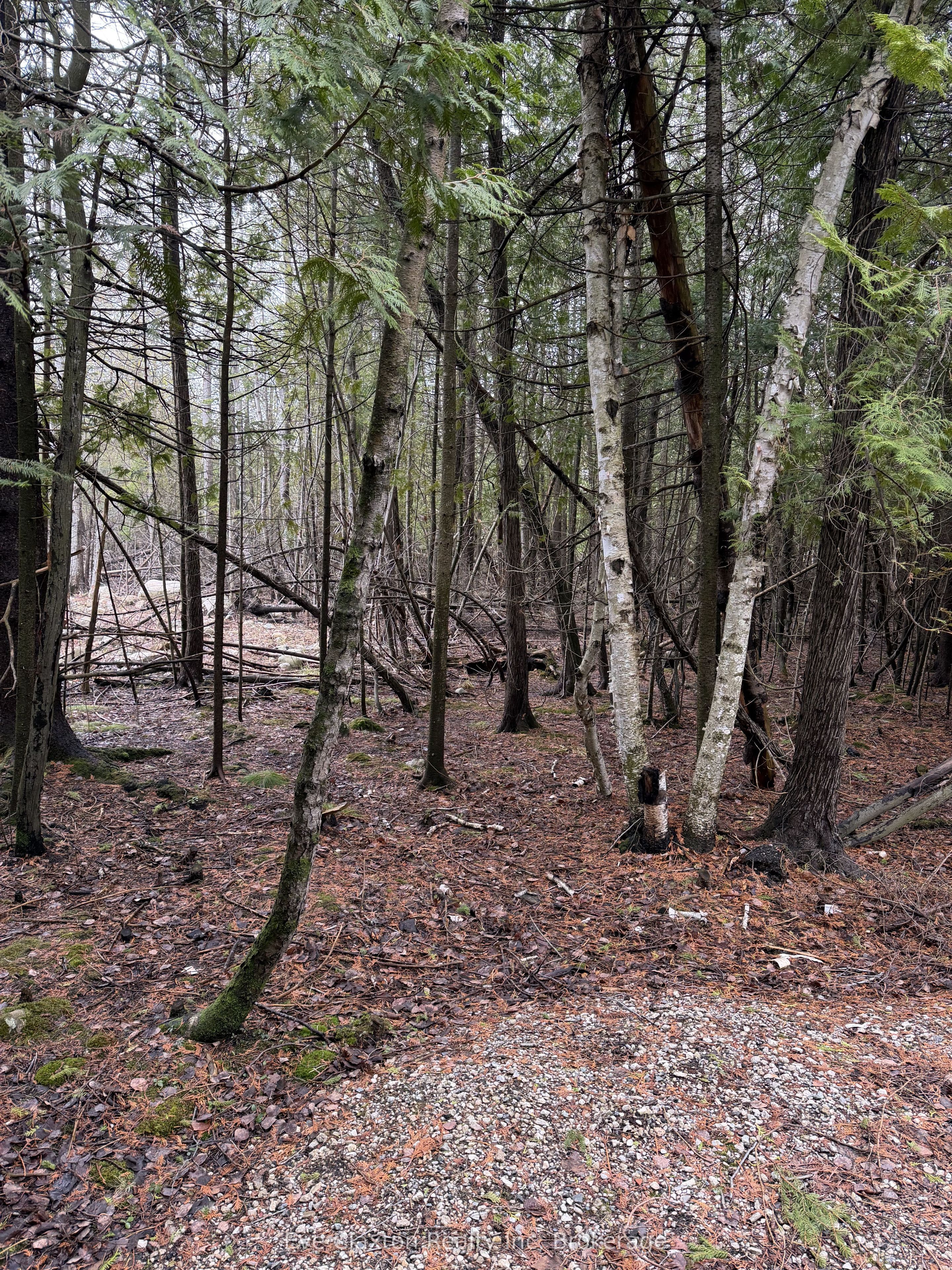 23 Park Lot Cameron Drive