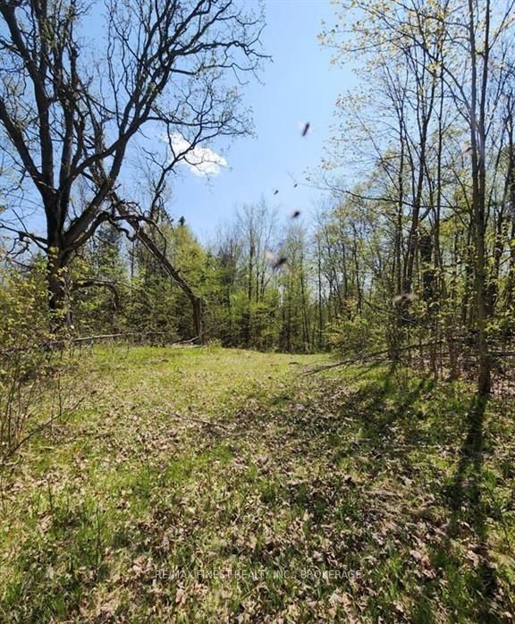 0 Burke Settlement Road