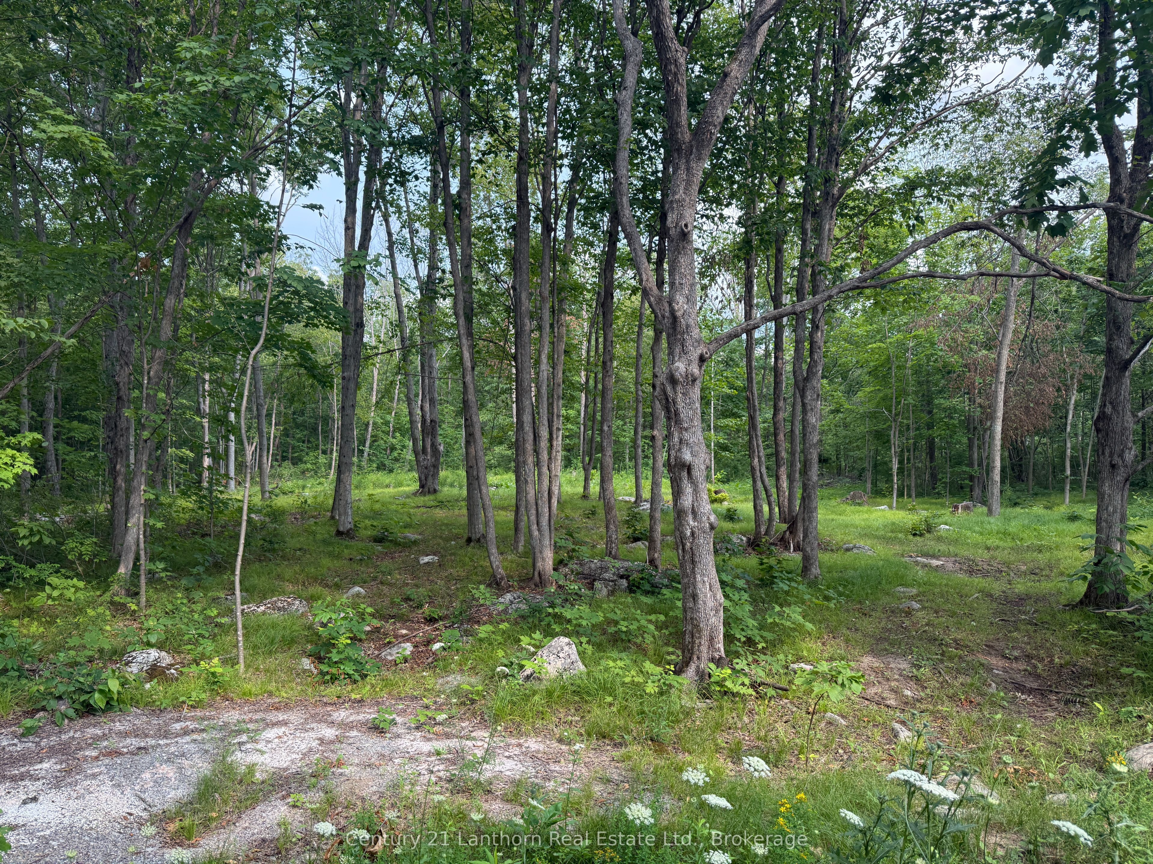 554 Pigden Road