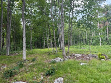 554 Pigden Road Madoc ON K0K 2K0